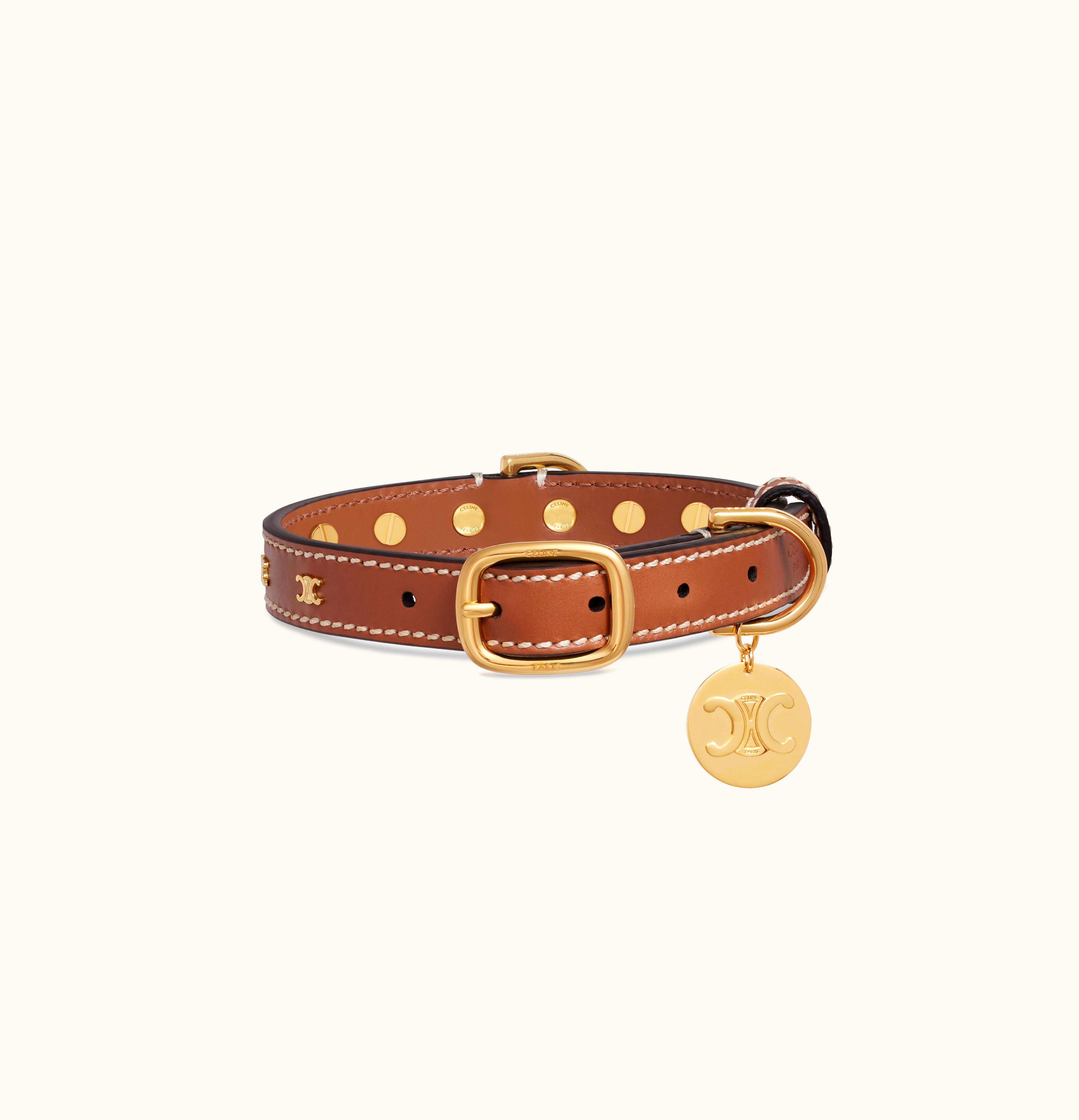 Celine Celine Small Thin Dog Collar In Smooth Calfskin With Studs Triomphe Tan