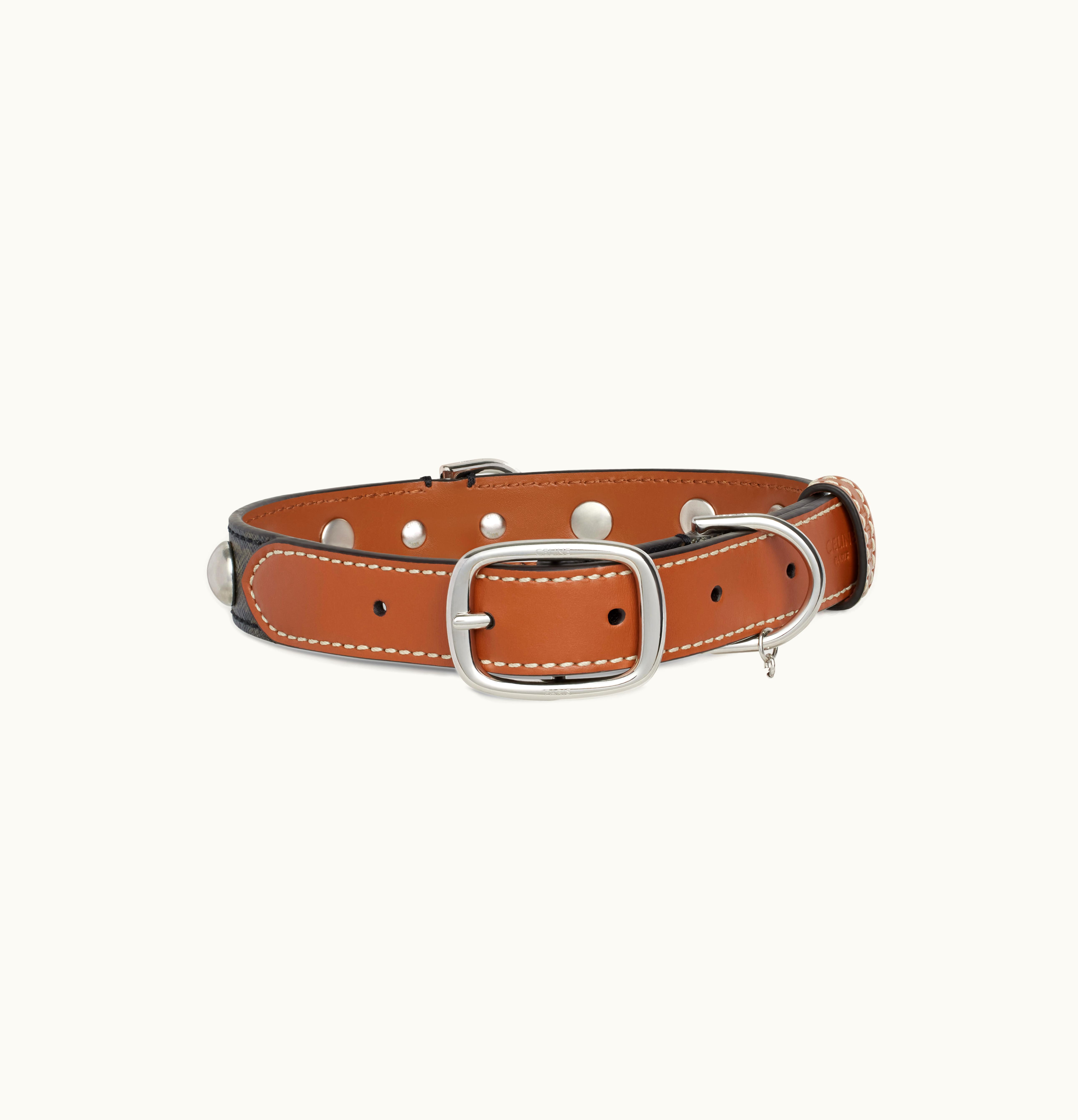 Celine Celine Medium Large Dog Collar In Triomphe Canvas And Calfskin With Studs Tan