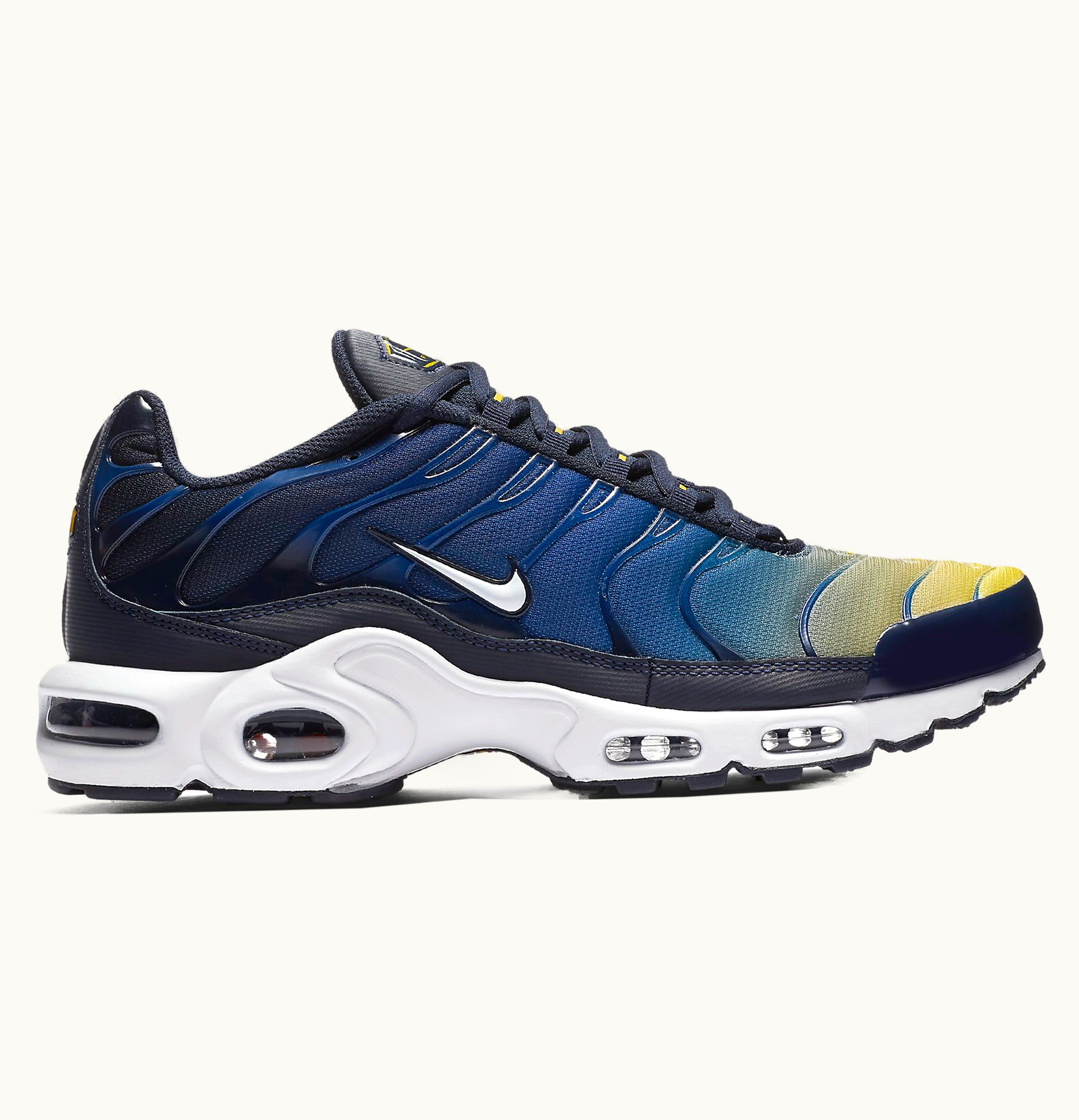 Nike Nike Air Max Plus Gradient Pack Obsidian