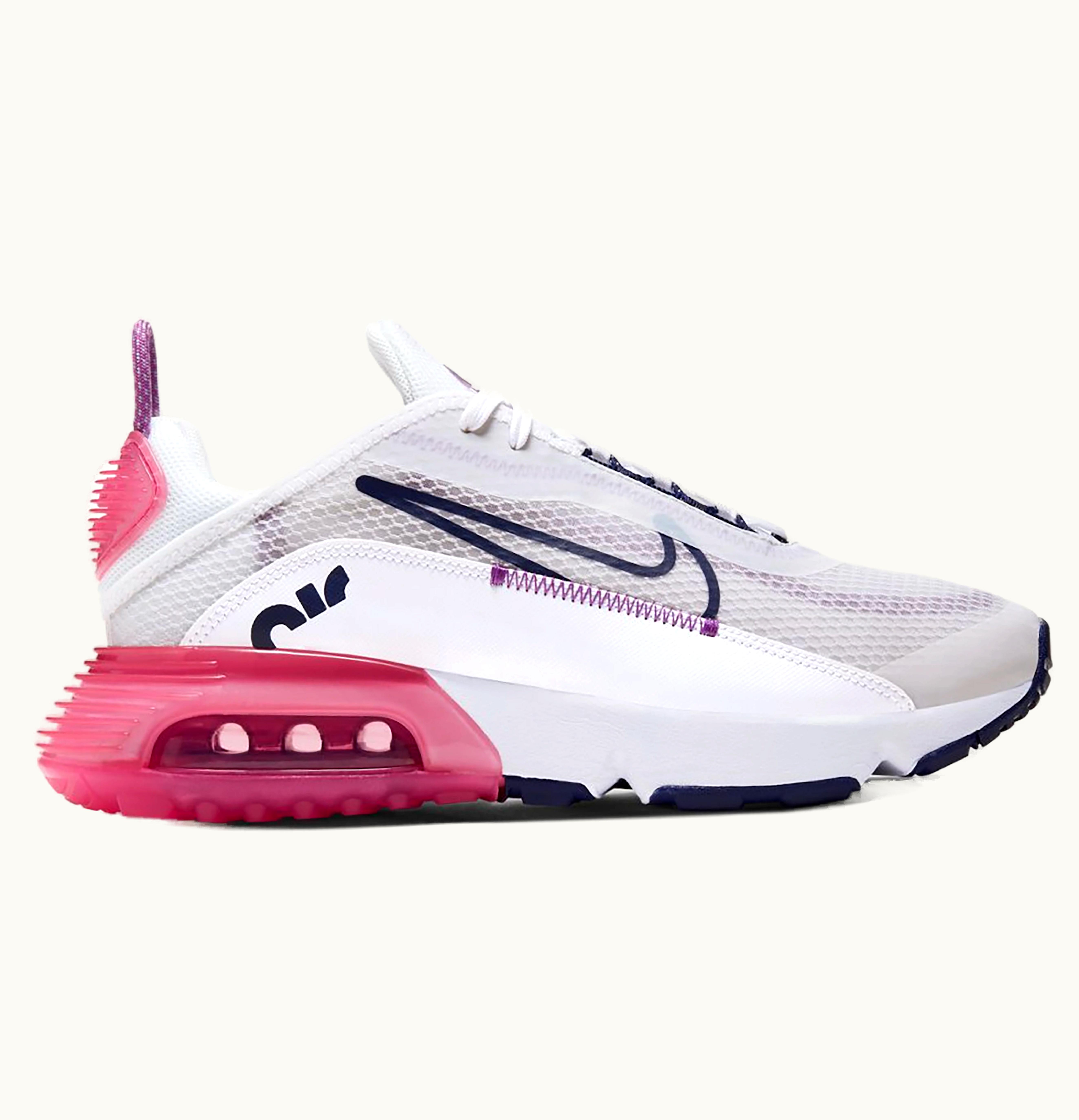 Nike Nike Air Max 2090 Platinum Watermelon Purple GS