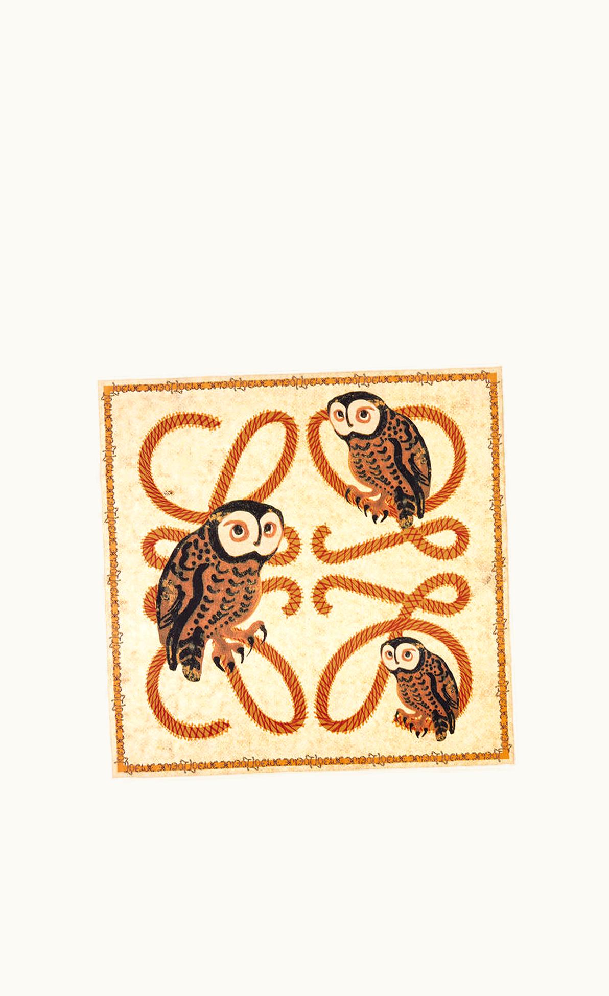 Loewe Loewe Owl Scarf In Silk