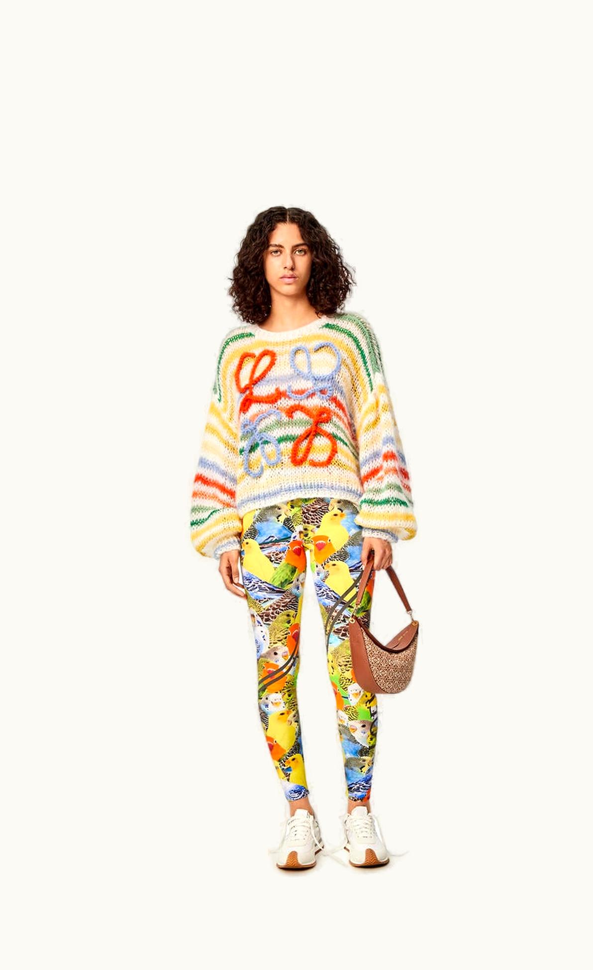 Loewe Loewe Stripe Sweater In Mohair