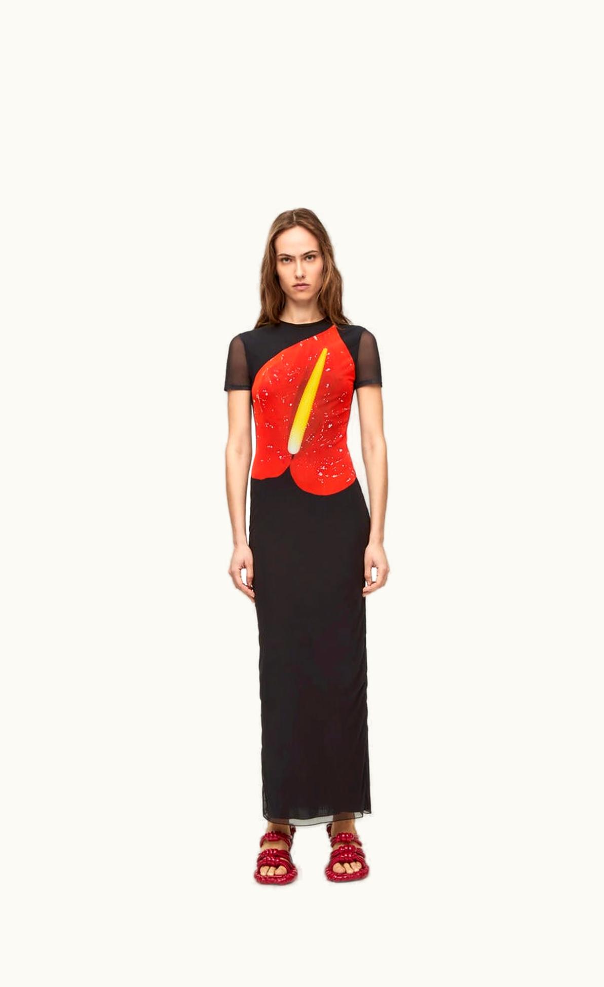 Loewe Loewe Anthurium Dress In Semi Sheer Mesh UZ0127823