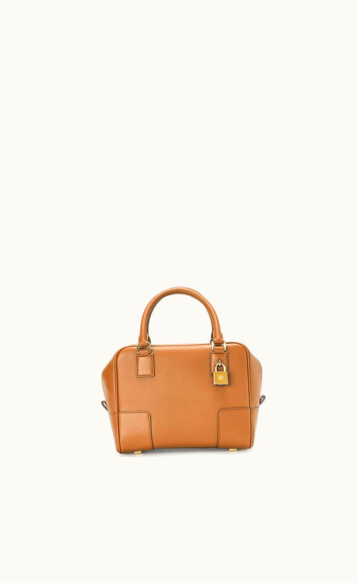 Loewe Loewe Amazona 19 Square Bag In Nappa Calfskin UZ0128133