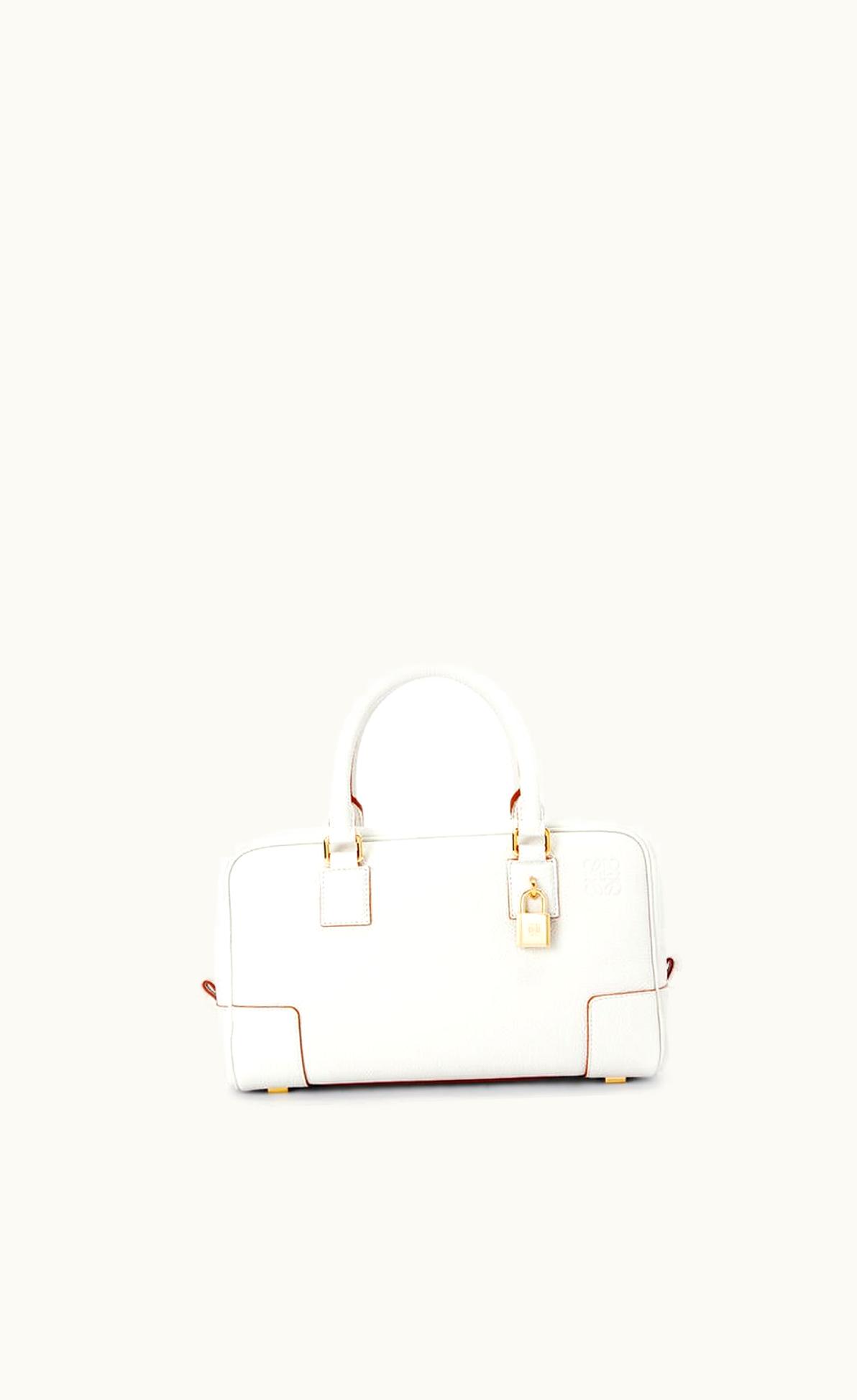 Loewe Loewe Amazona 23 Bag In Soft Grained Calfskin UZ0129077