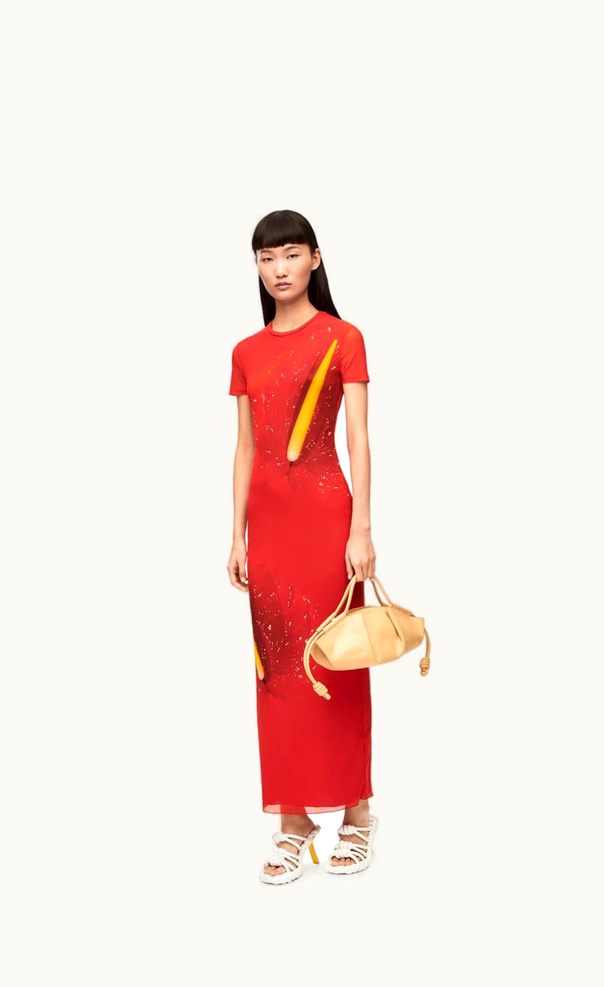 Loewe Anthurium Dress In Semi Sheer Mesh UZ0129498