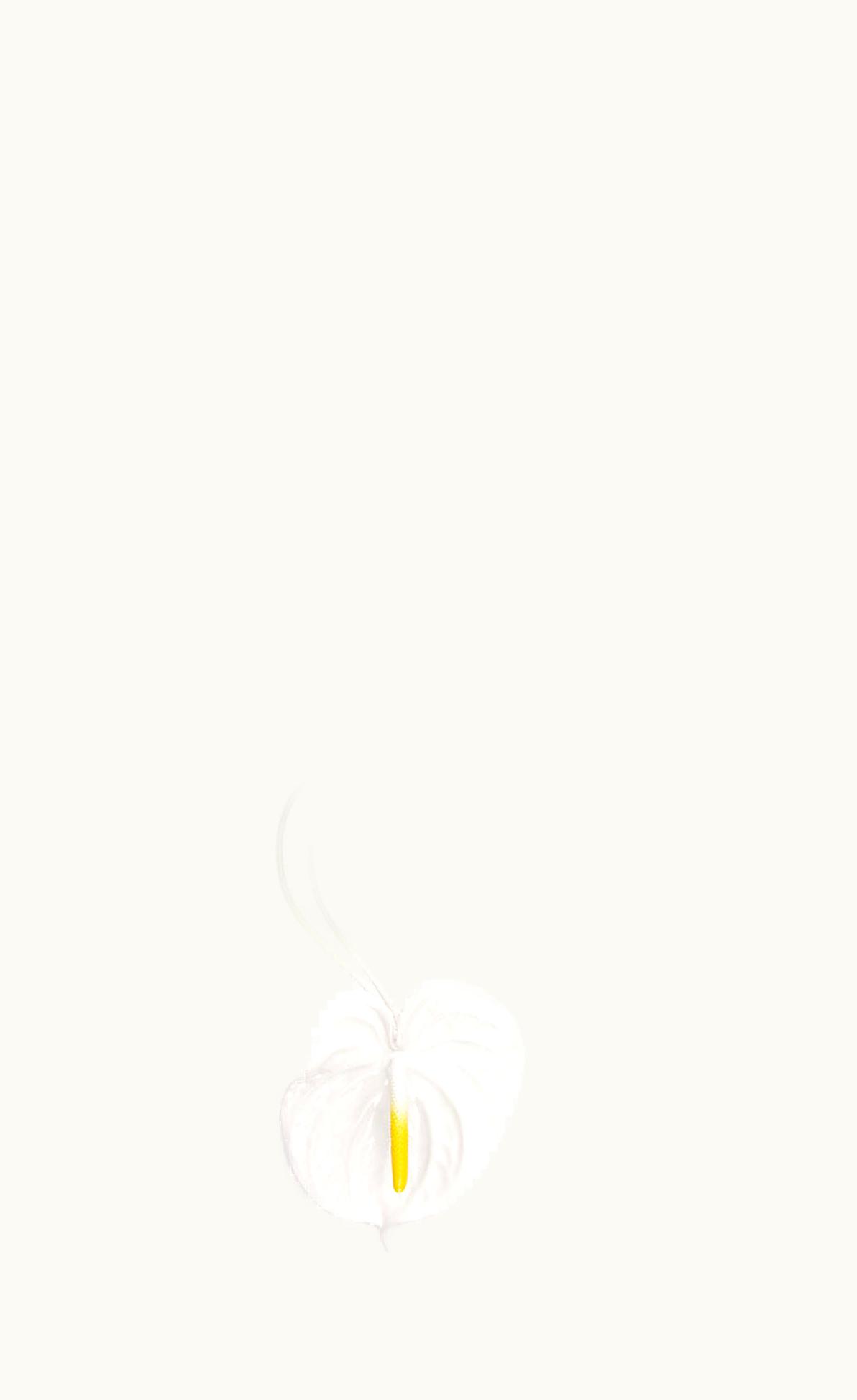 Loewe Anthurium Charm In Resin UZ0129684
