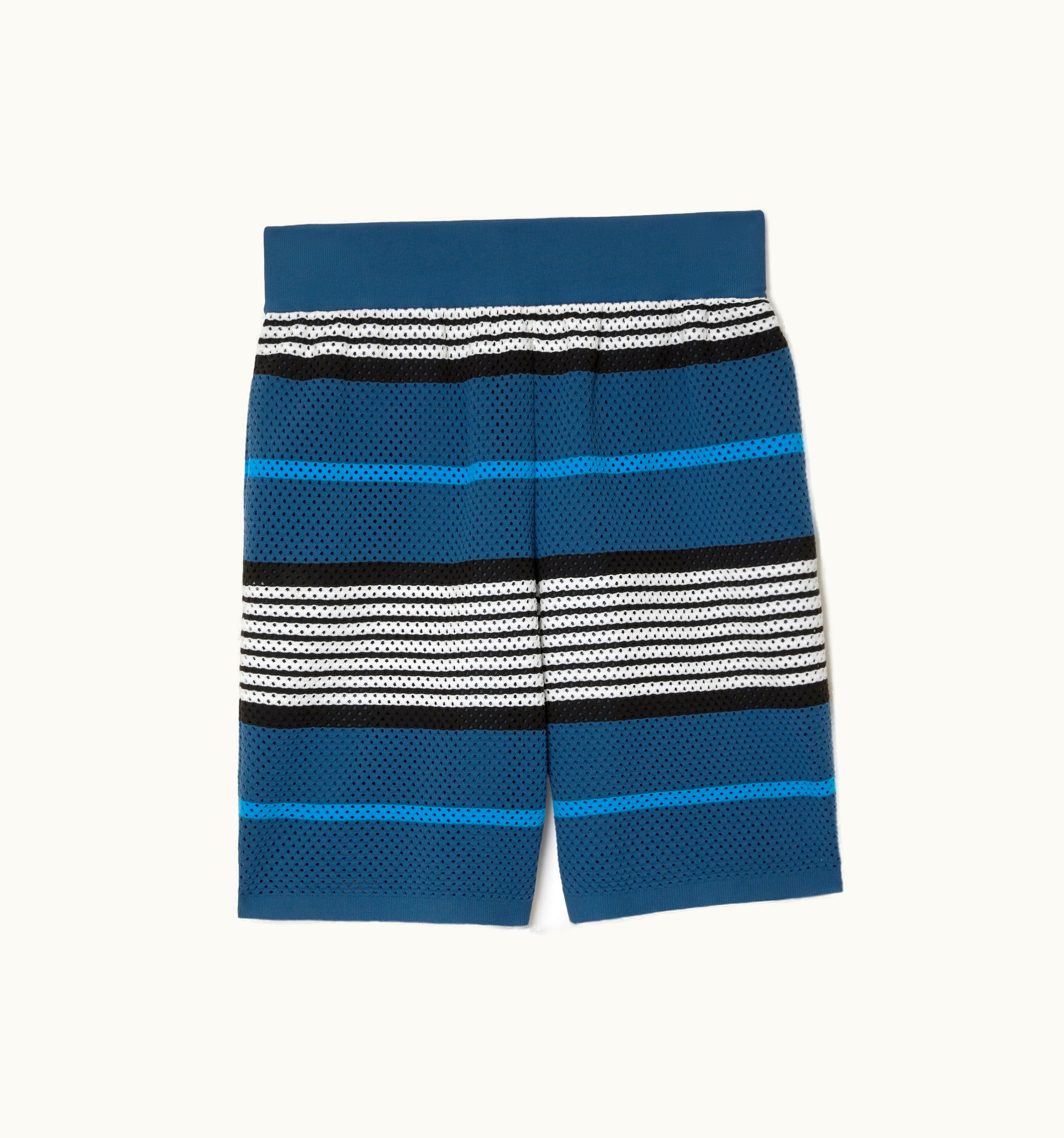 Burberry Burberry Stripe Print Nylon Shorts In Rich Navy - Men UZ0139396