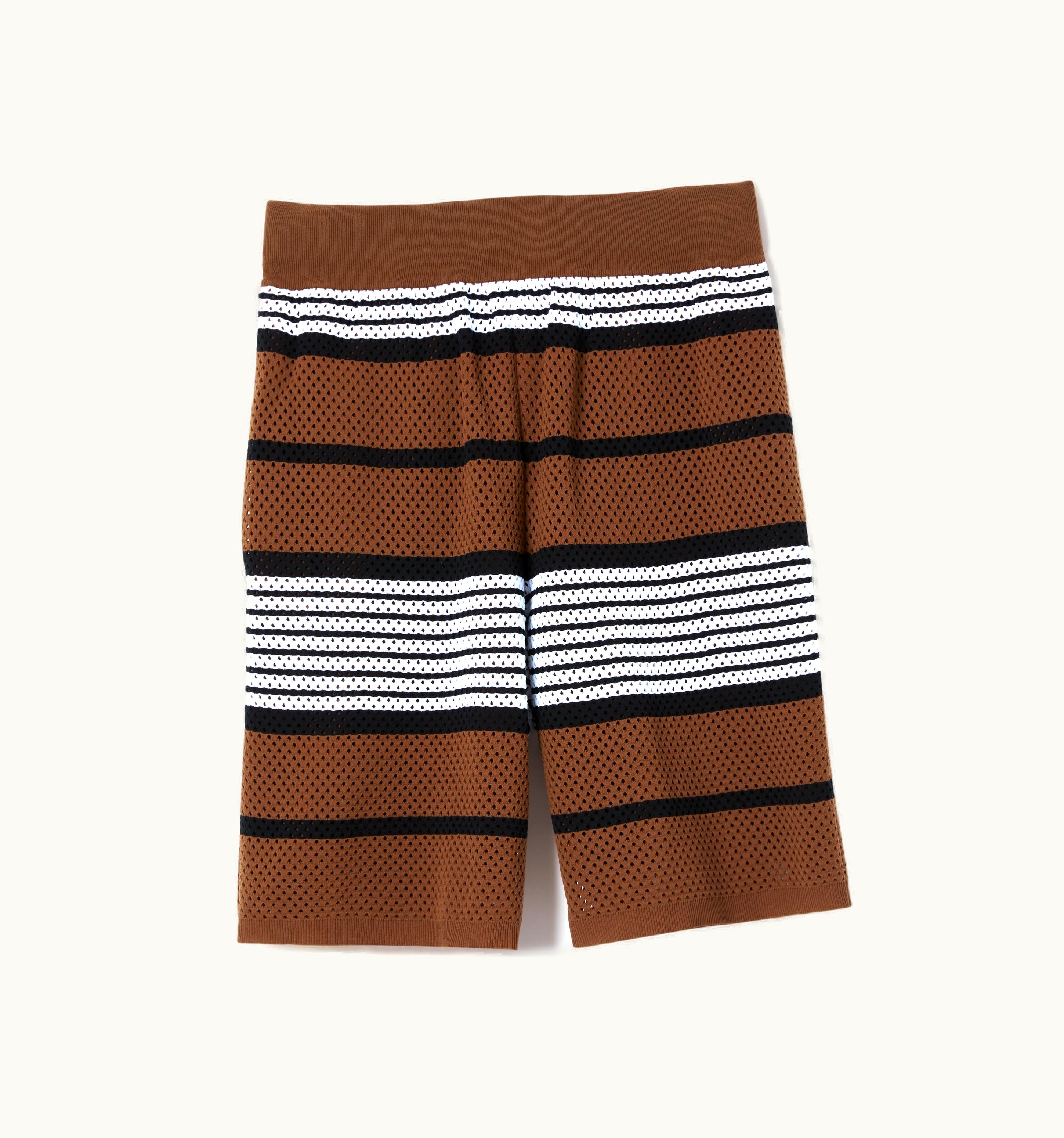 Burberry Burberry Stripe Print Nylon Shorts In Dark Birch Brown - Men UZ0139476