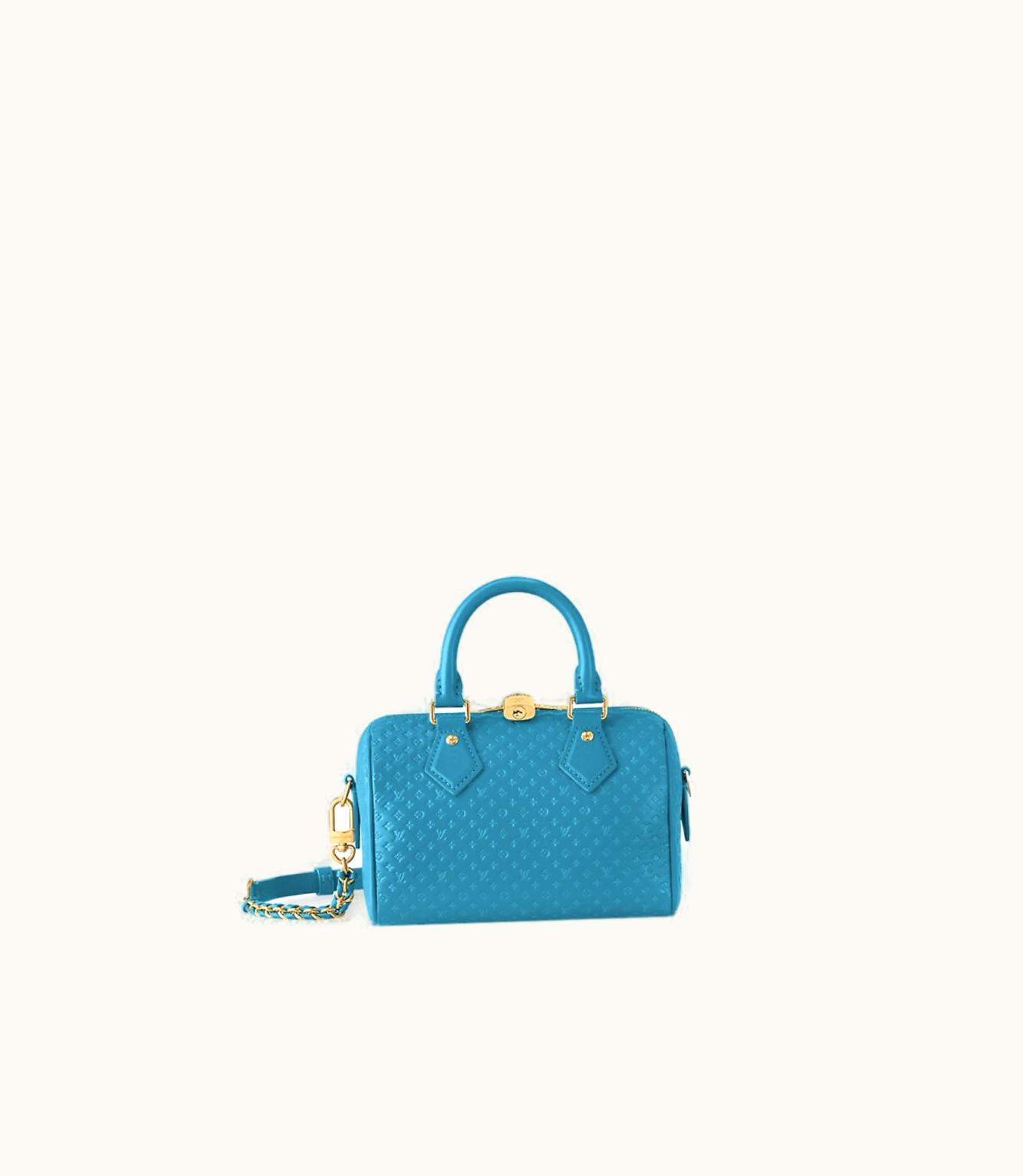 Louis Vuitton Louis Vuitton Speedy Bandoulière 20 Bag UZ0145632