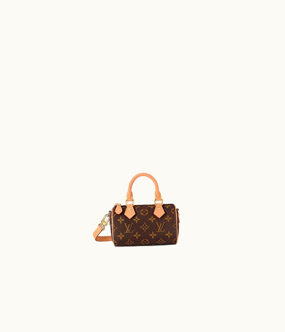Louis Vuitton Louis Vuitton Speedy Nano