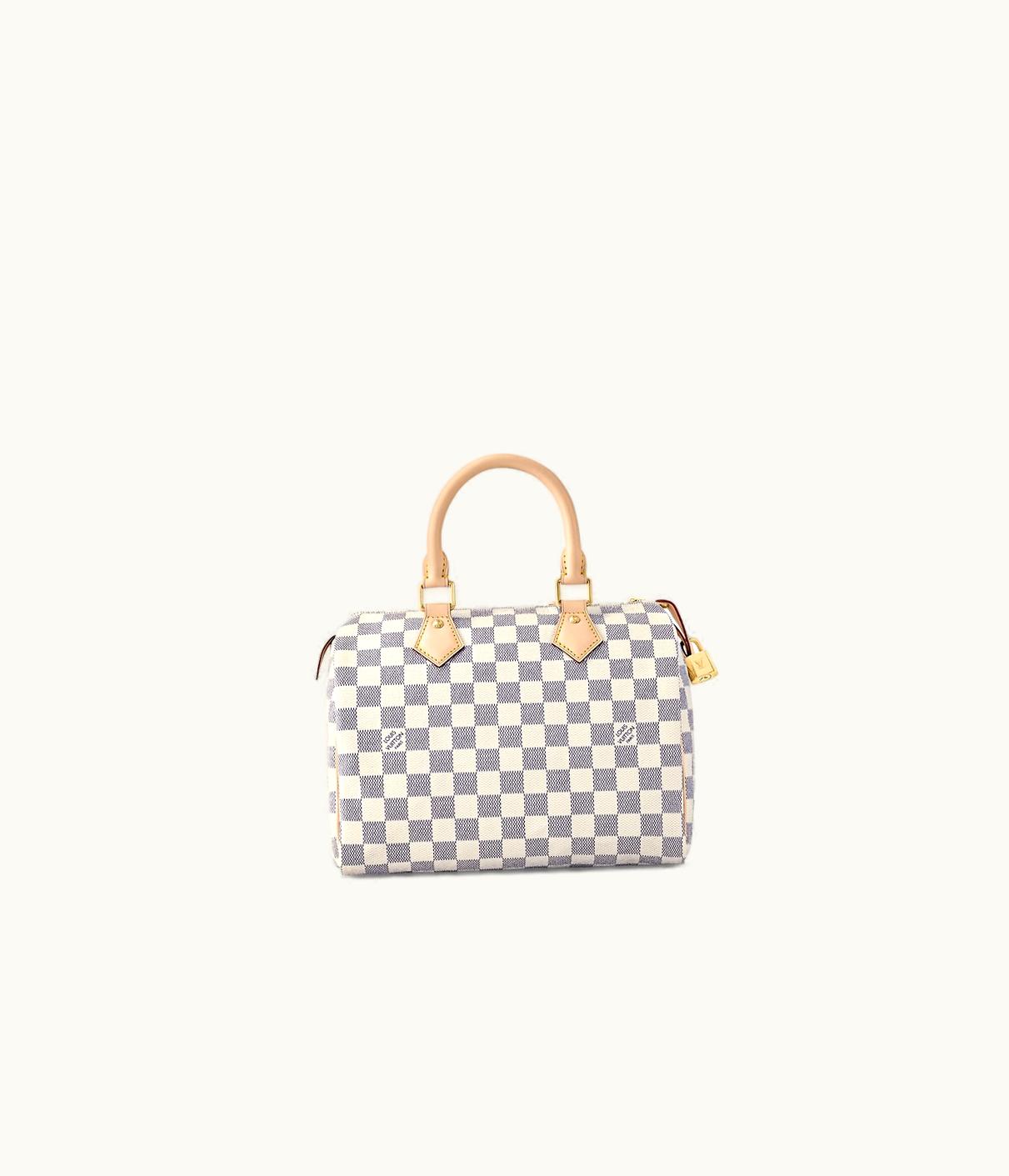 Louis Vuitton Louis Vuitton Speedy 25 UZ0145930