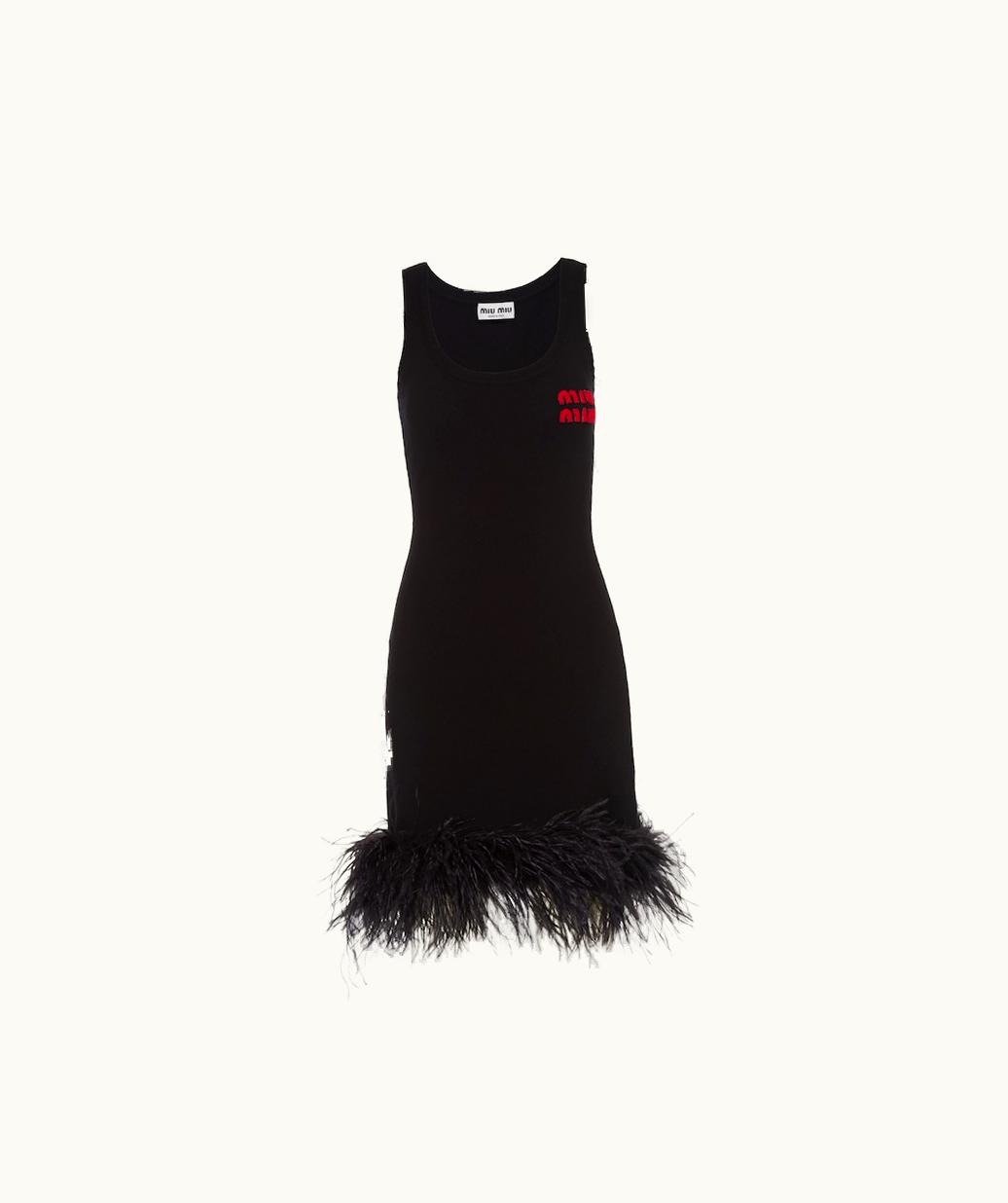 Miu Miu Miu Miu Cashmere Dress With Feathers