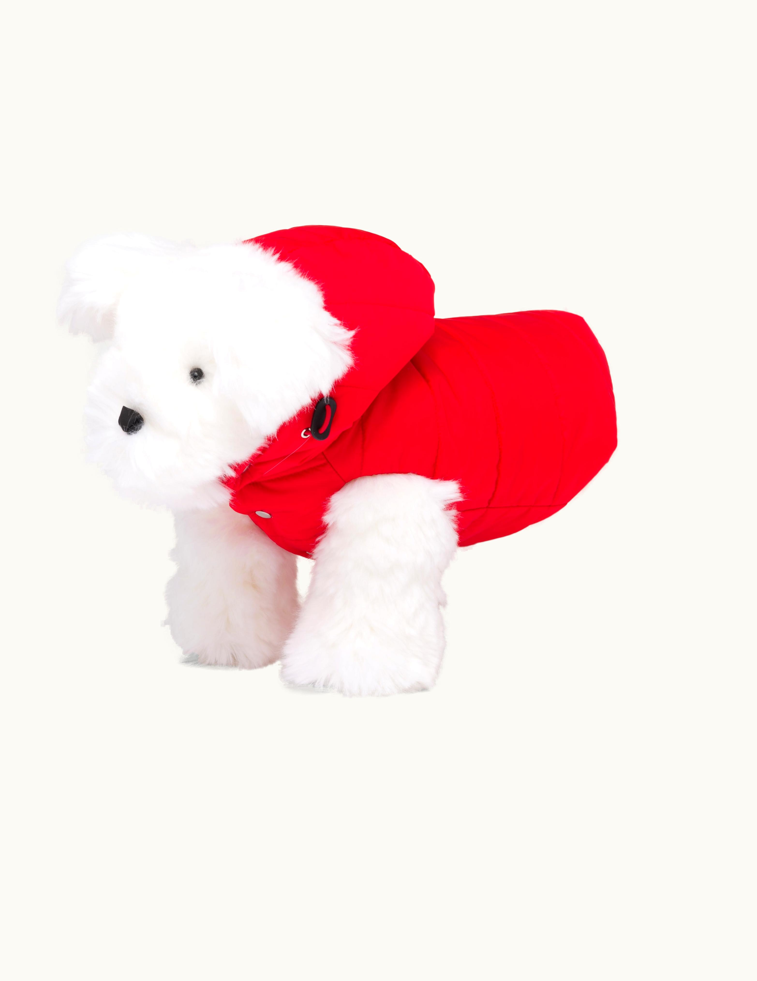 Prada Prada Nylon Puffer Dog Coat With Hood