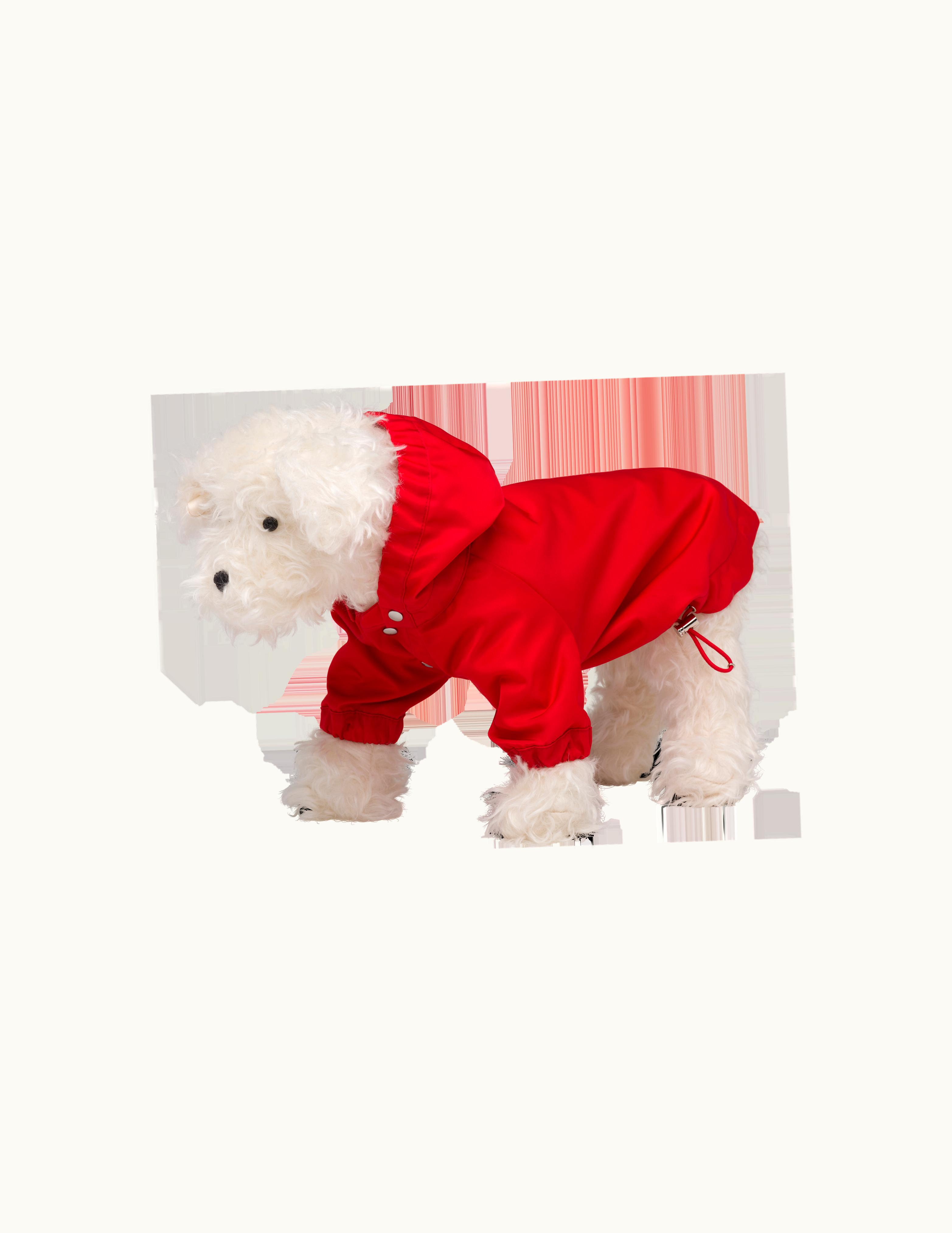 Prada Prada Nylon Dog Raincoat With Hood UZ0157000