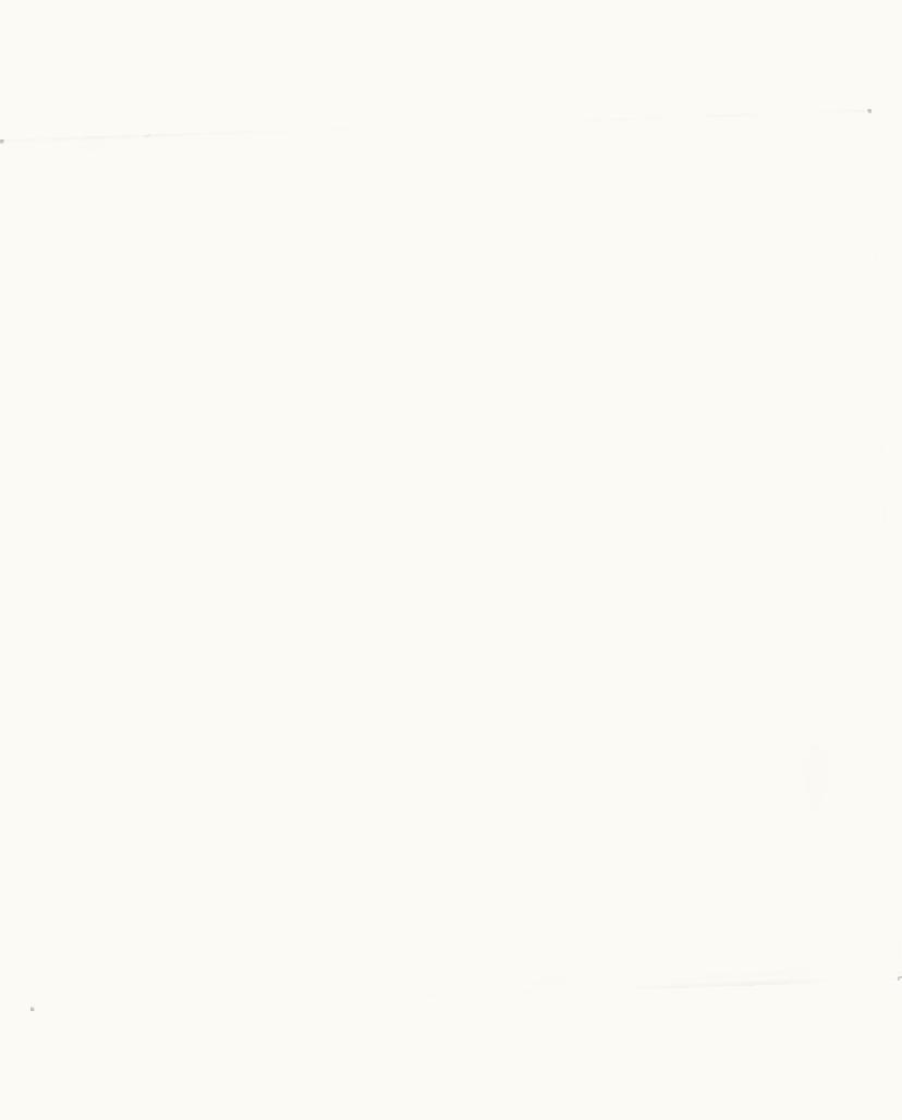 Mikimoto Mikimoto Necklace UZ0186300