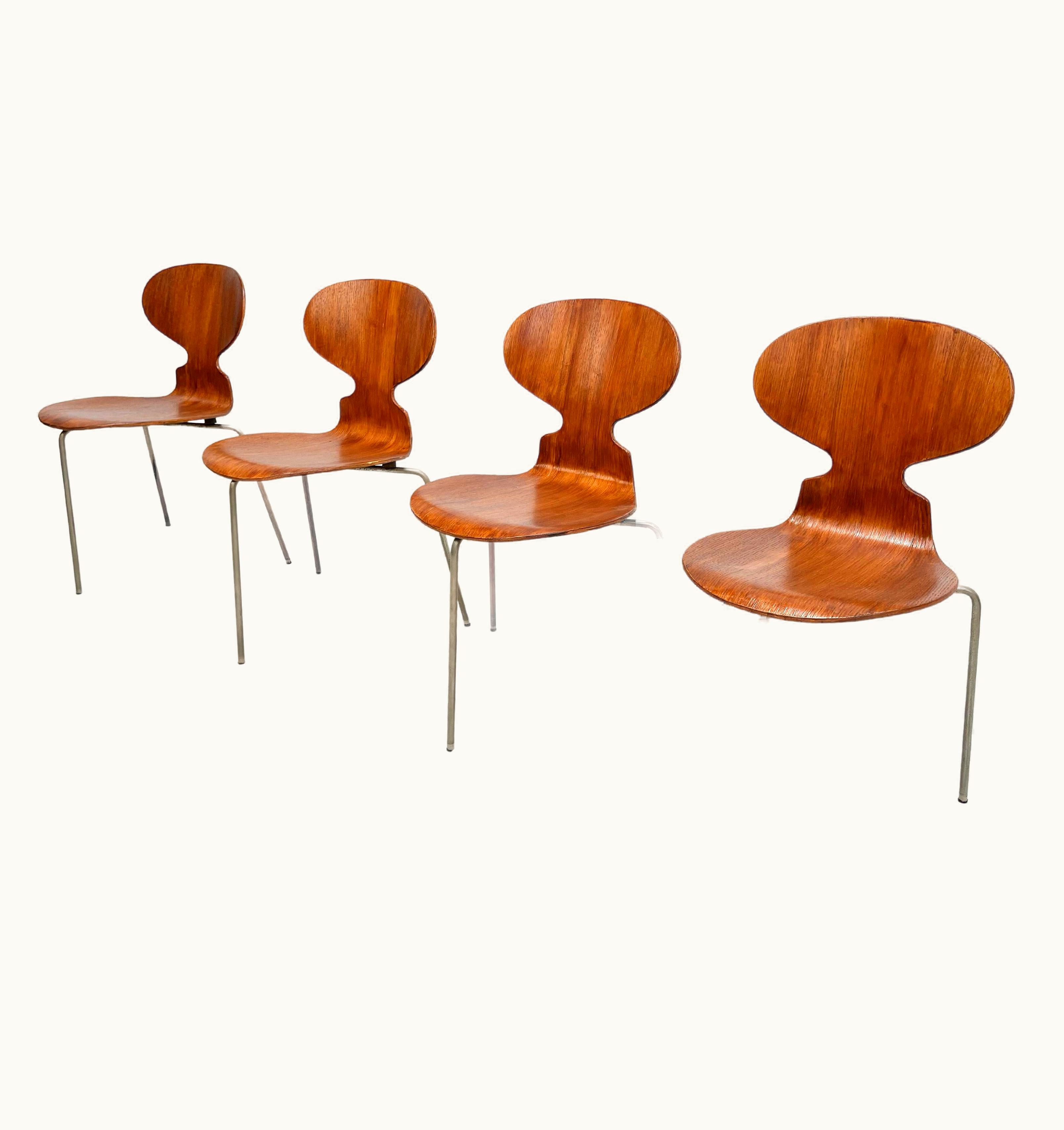 Arne Jacobsen Arne Jacobsen Early 1950's Arne Jacobsen Ant Chairs For Fritz Hansen