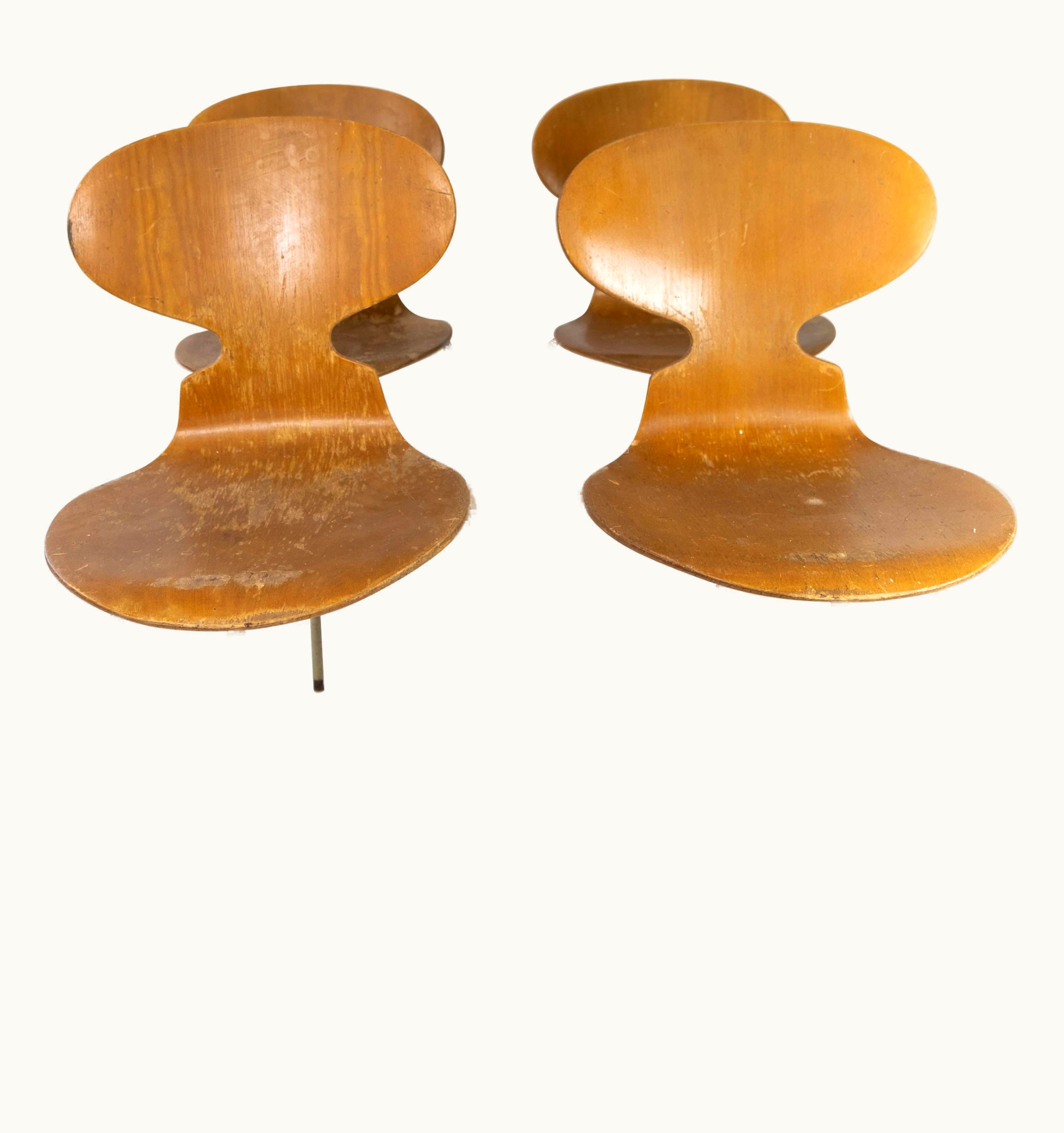 Arne Jacobsen Arne Jacobsen Set Of Four Ant Chairs, Model 3101, In Light Wood, By Arne Jacobsen, 1950s