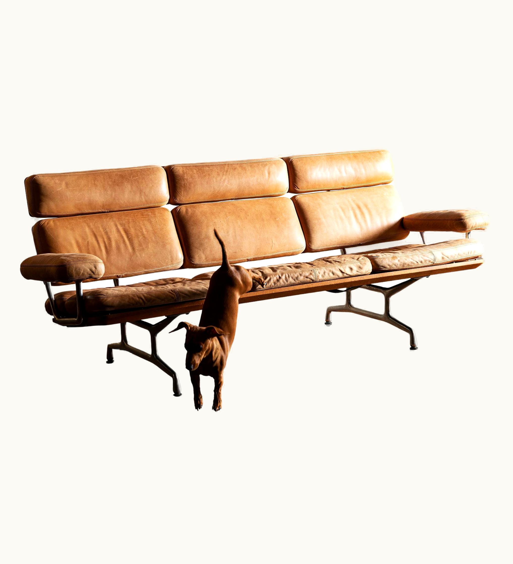 Charles and Ray Eames ES 108 Sofa In Gorgeous Carmel Patinated Leather And Walnut, 1980s