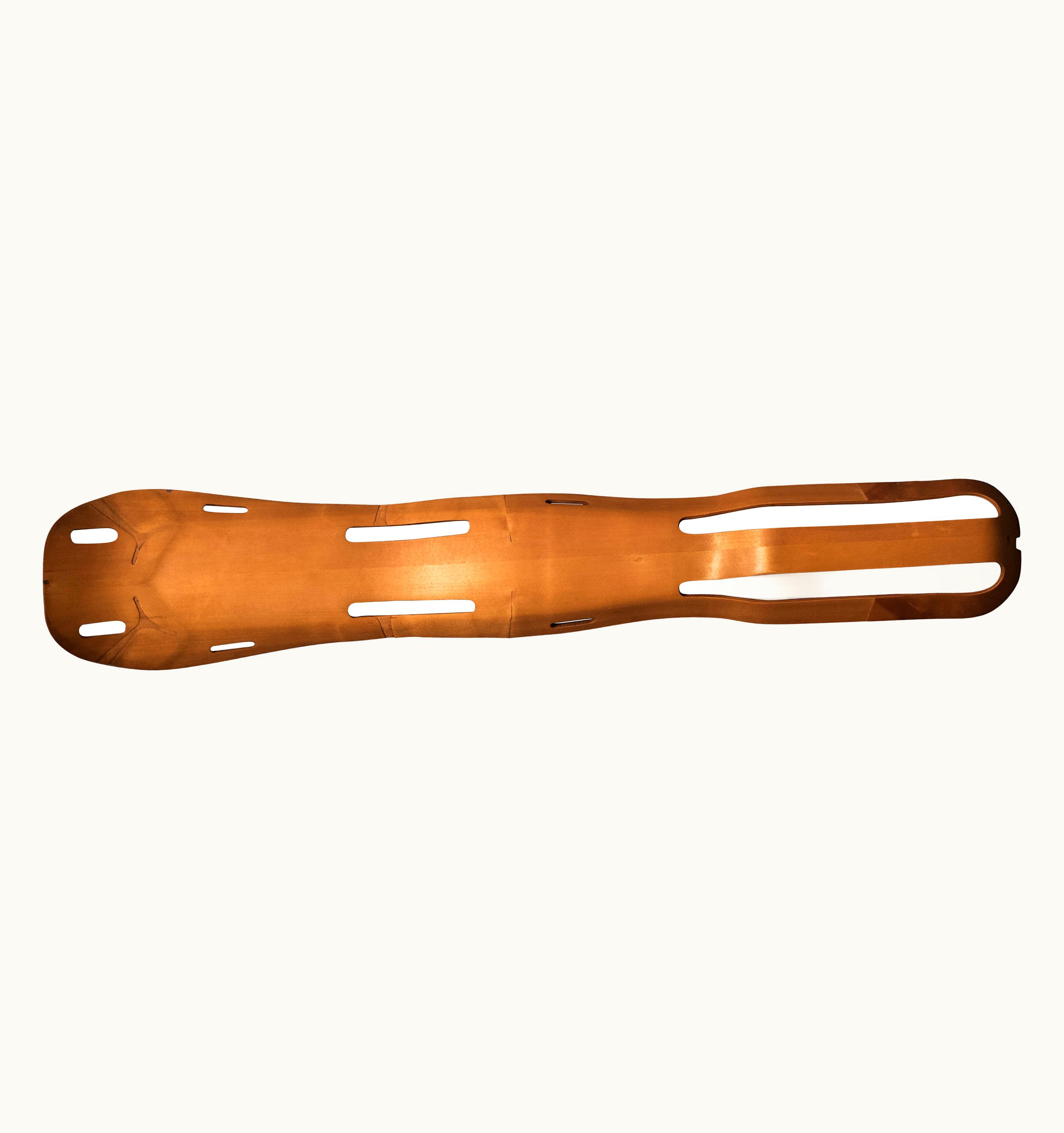 Charles and Ray Eames Mid Century Ray And Charles Eames Leg Splint For Evans Products