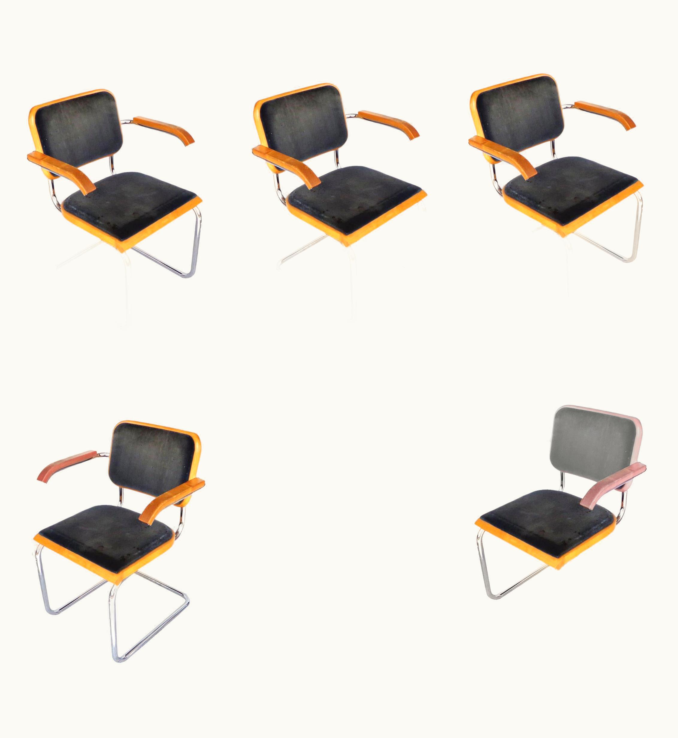 Marcel Breuer Set Of 6 Thonet Cesca Chairs By Marcel Breuer