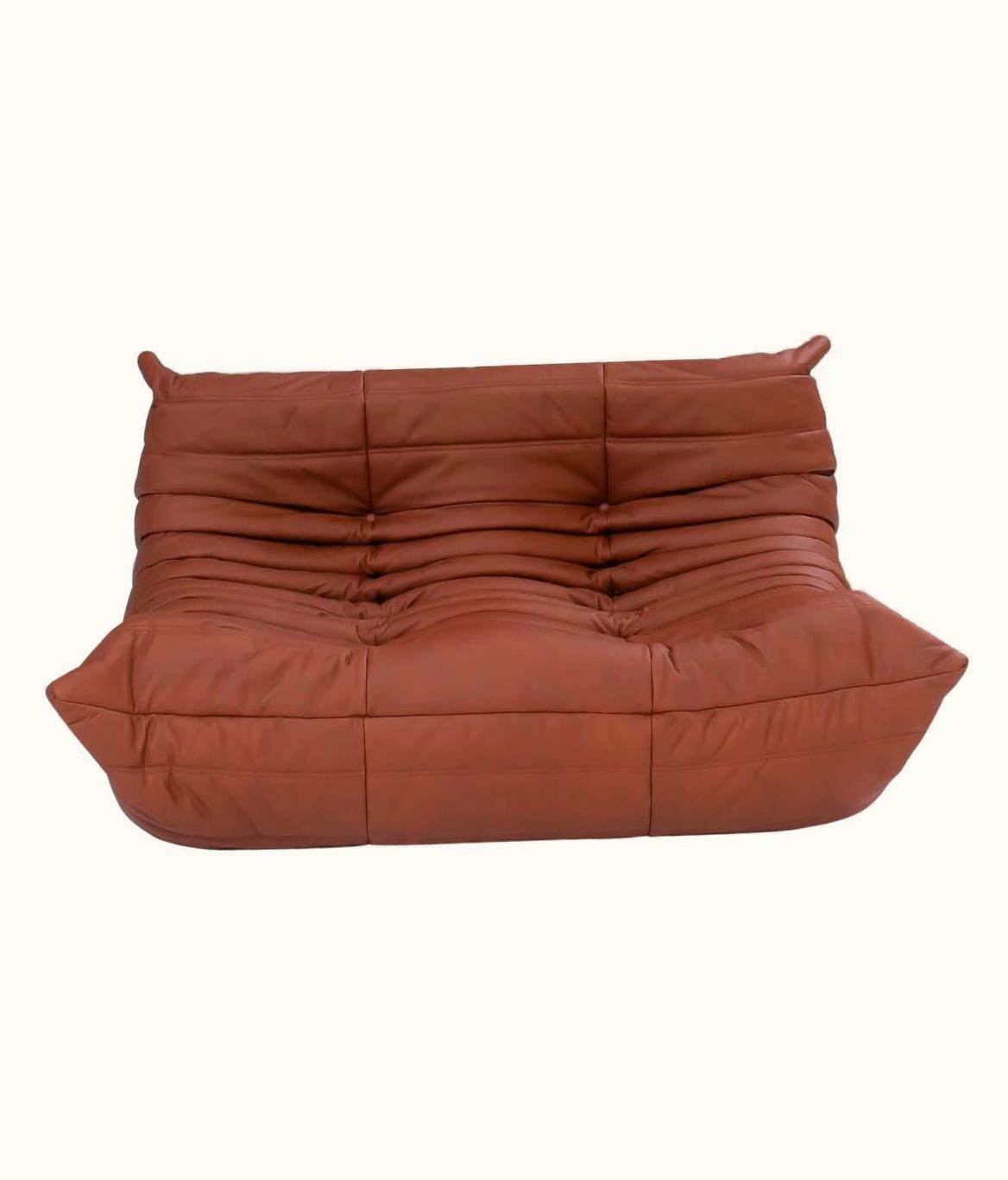 Michel Ducaroy Michel Ducaroy Ligne Roset Togo Brown Leather 2 Seater Small Sofa By Michel Ducaroy