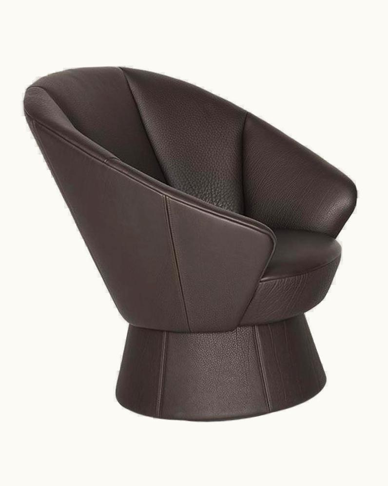 De Sede De Sede DS-163 Armchair In Cigarro Upholstery, VIrginia Harper & Babak Hakakian