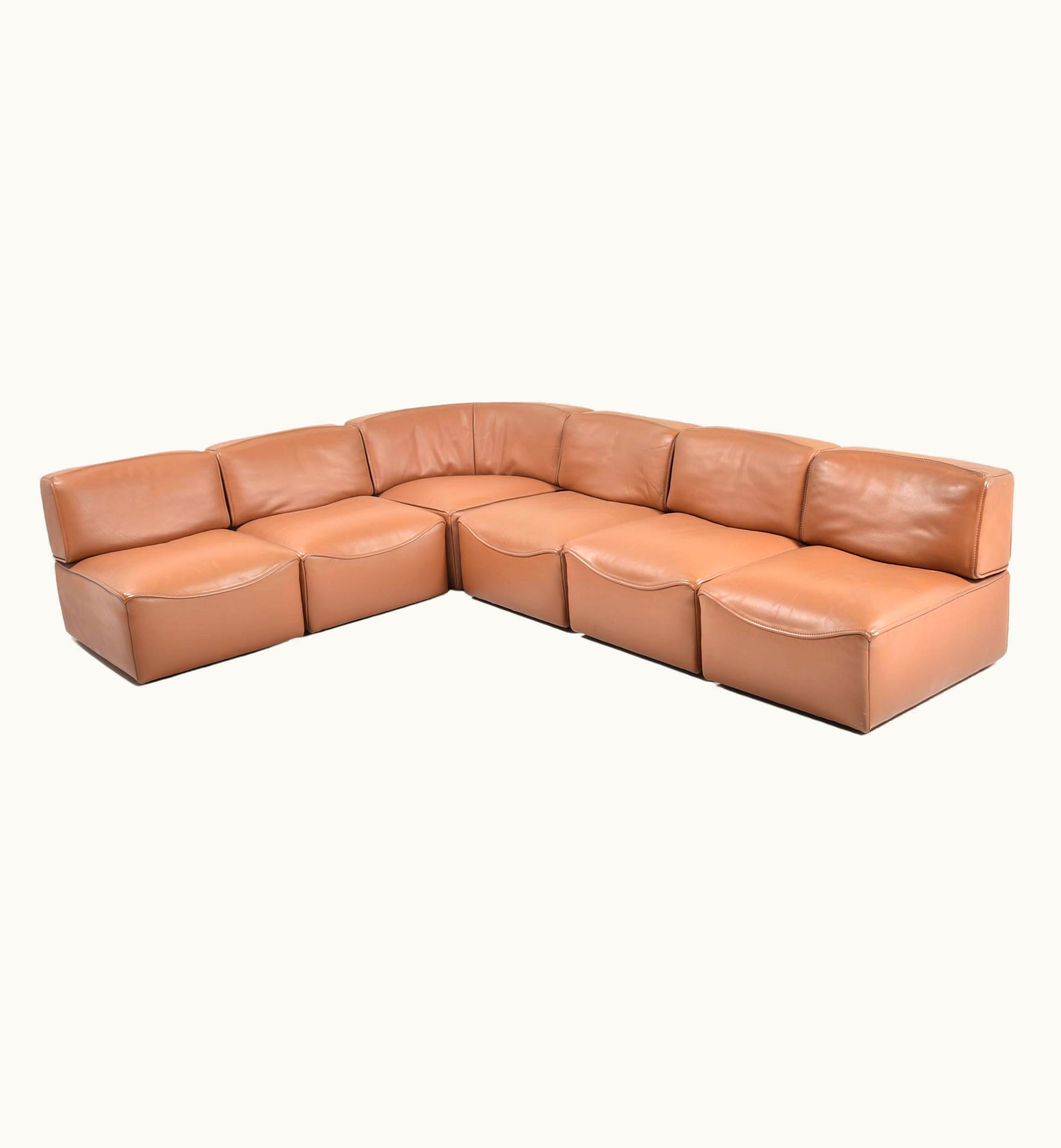 De Sede De Sede Leather Sectional Sofa DS 15, Switzerland, 1970s