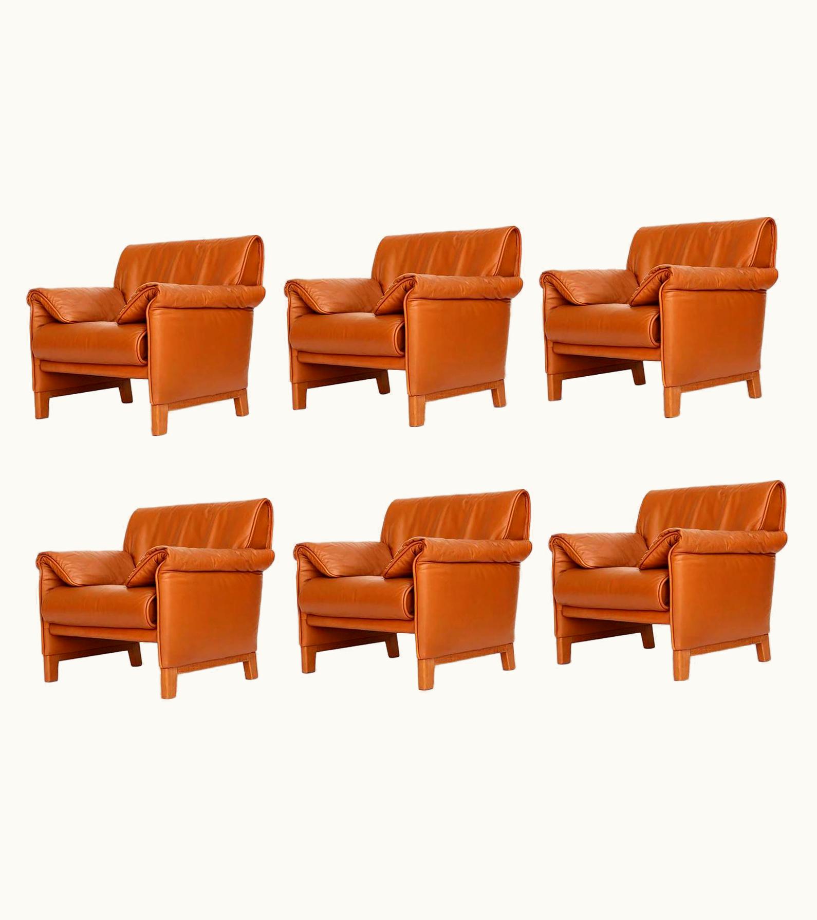 De Sede De Sede Six De Sede 'DS-14' Armchairs Lounge Chairs, Cognac Leather Teak, 1989