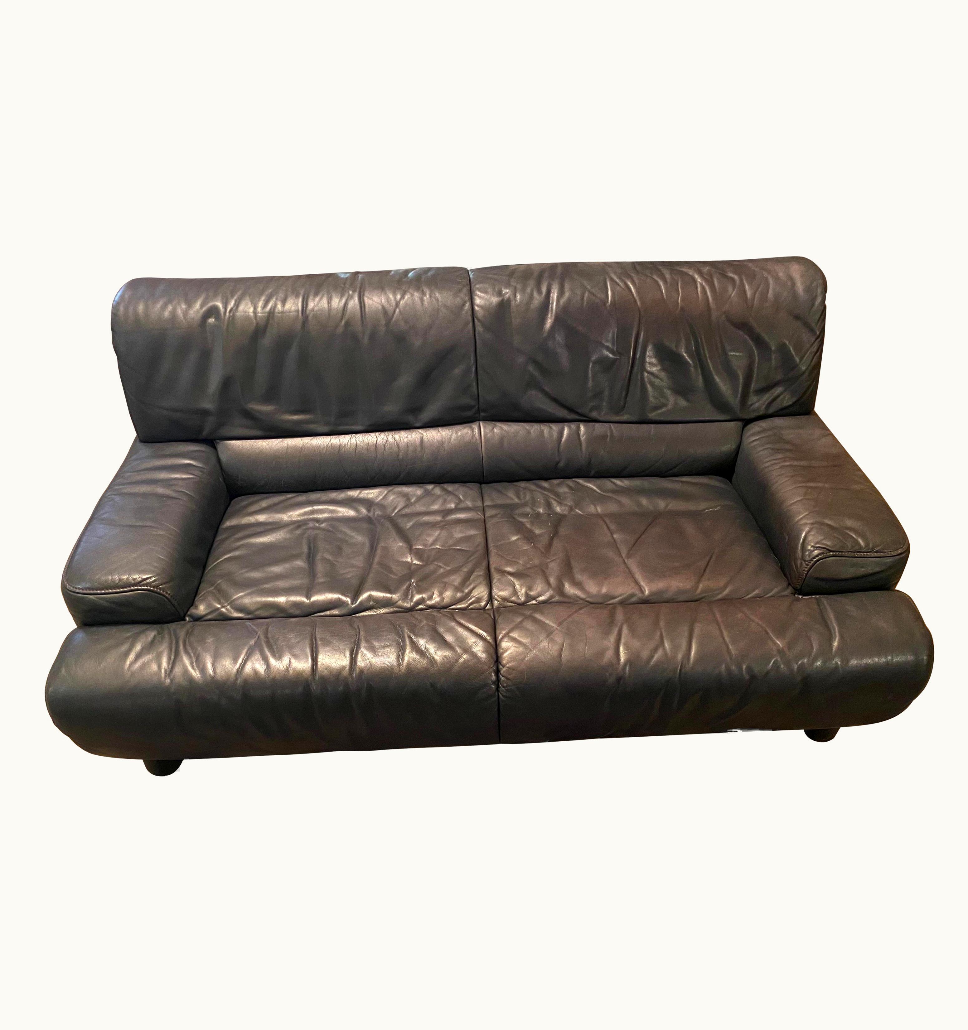 De Sede De Sede Vintage Leather De Sede DS-18 Loveseat