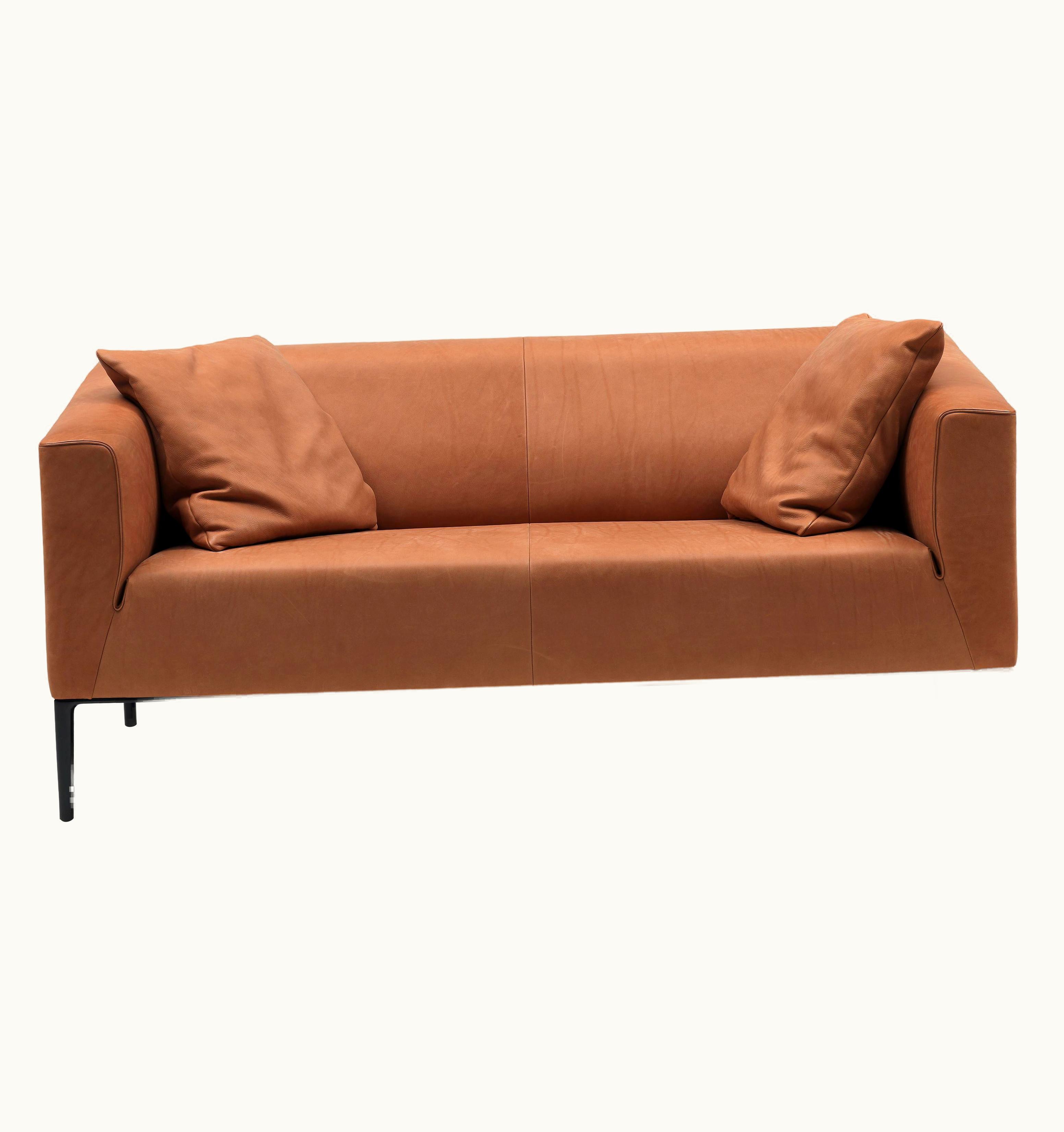 De Sede De Sede Set Of DS-161 Sofa And 2 Cushions By De Sede