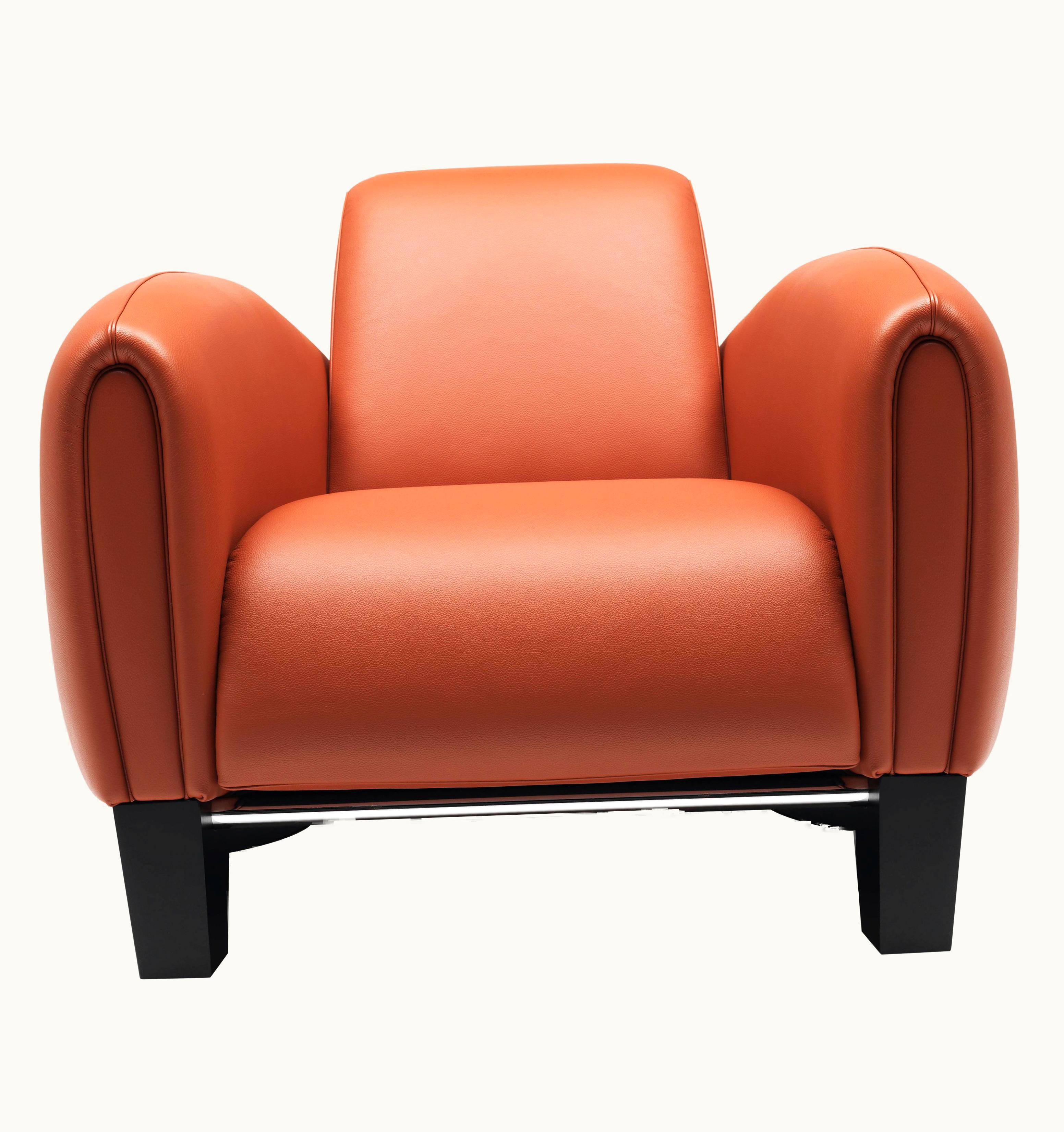 De Sede De Sede DS-57 Armchair By De Sede