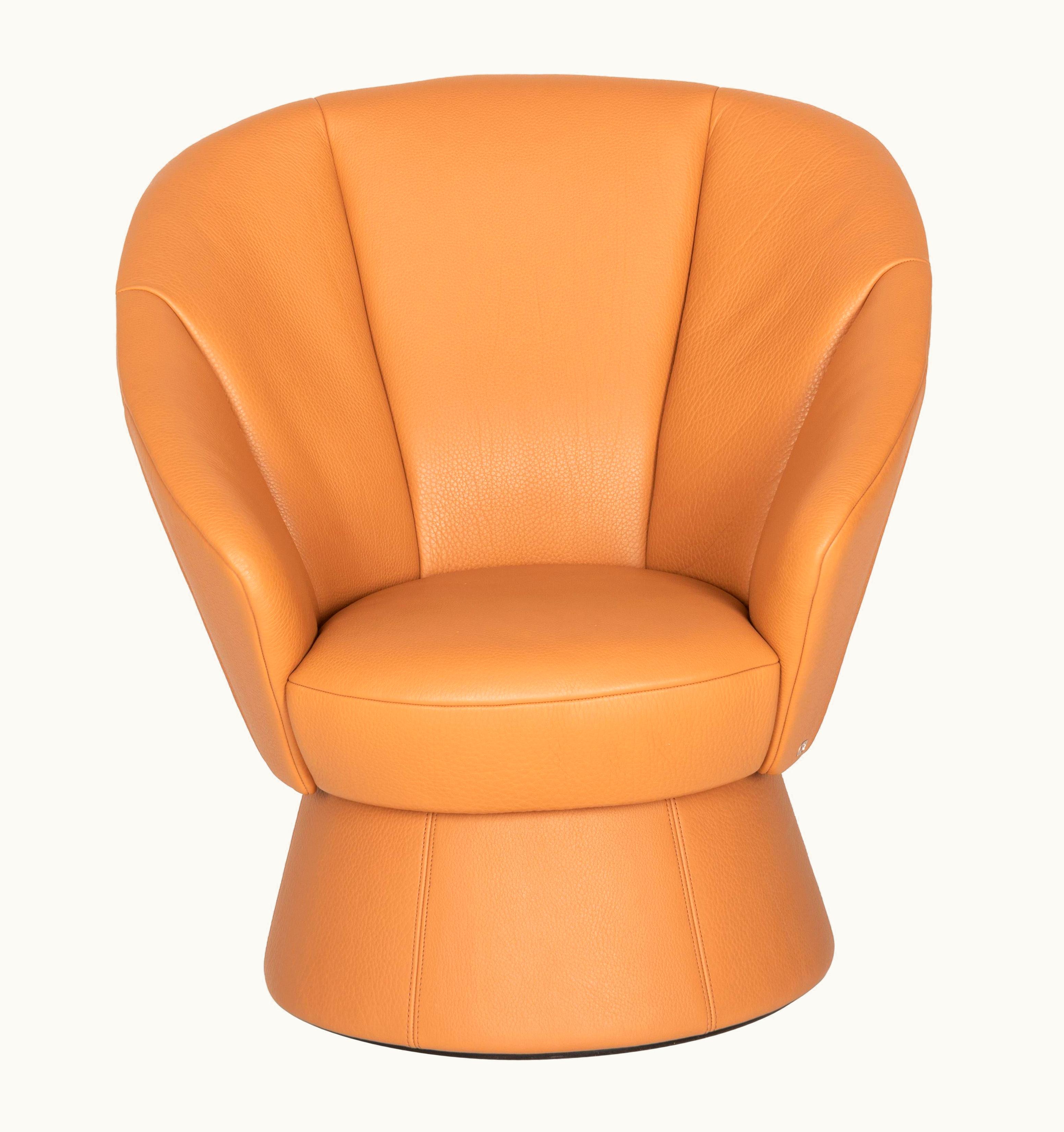 De Sede De Sede DS-163 Armchair By De Sede