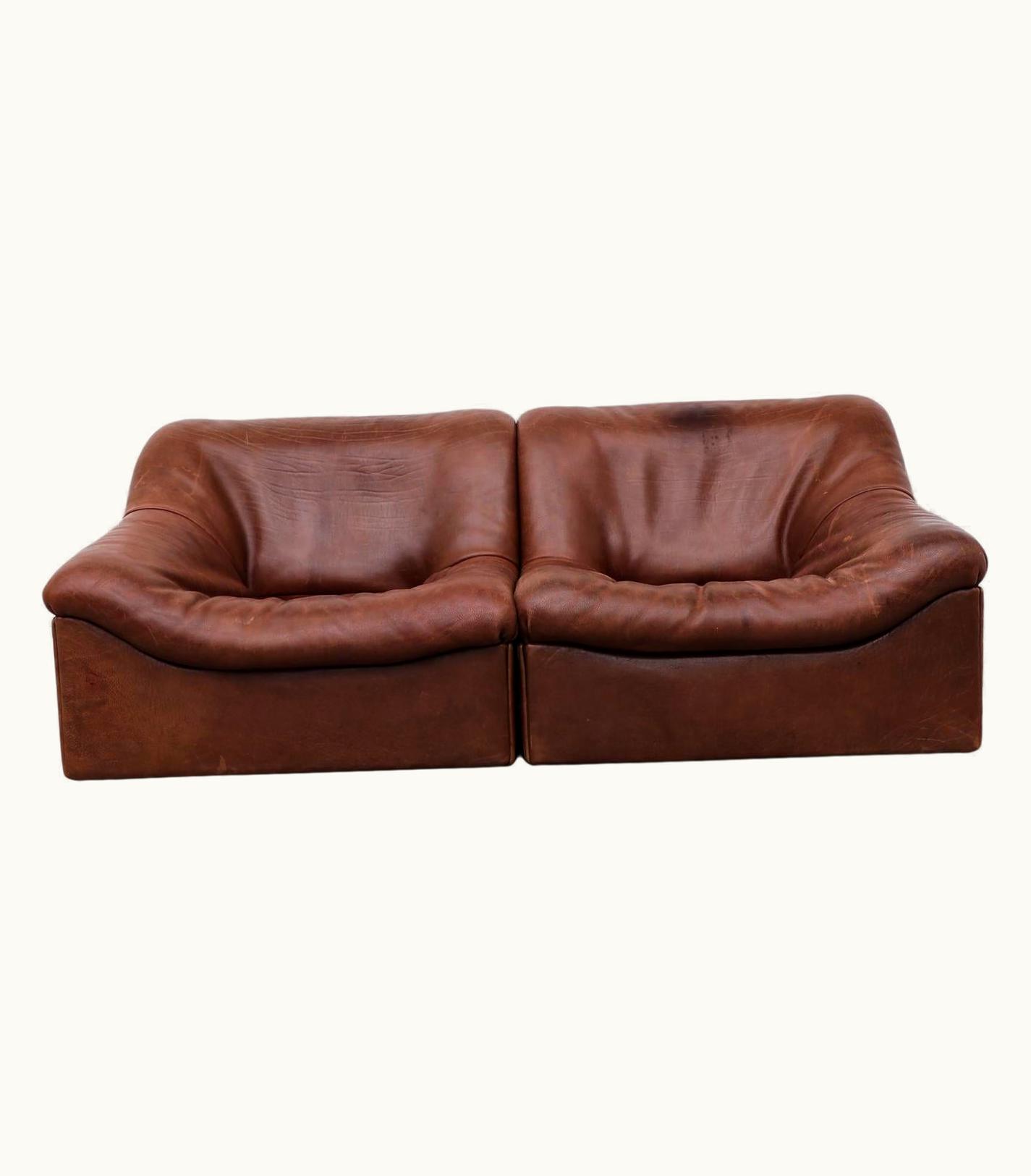 De Sede De Sede Buffalo Leather DS46 Loveseat