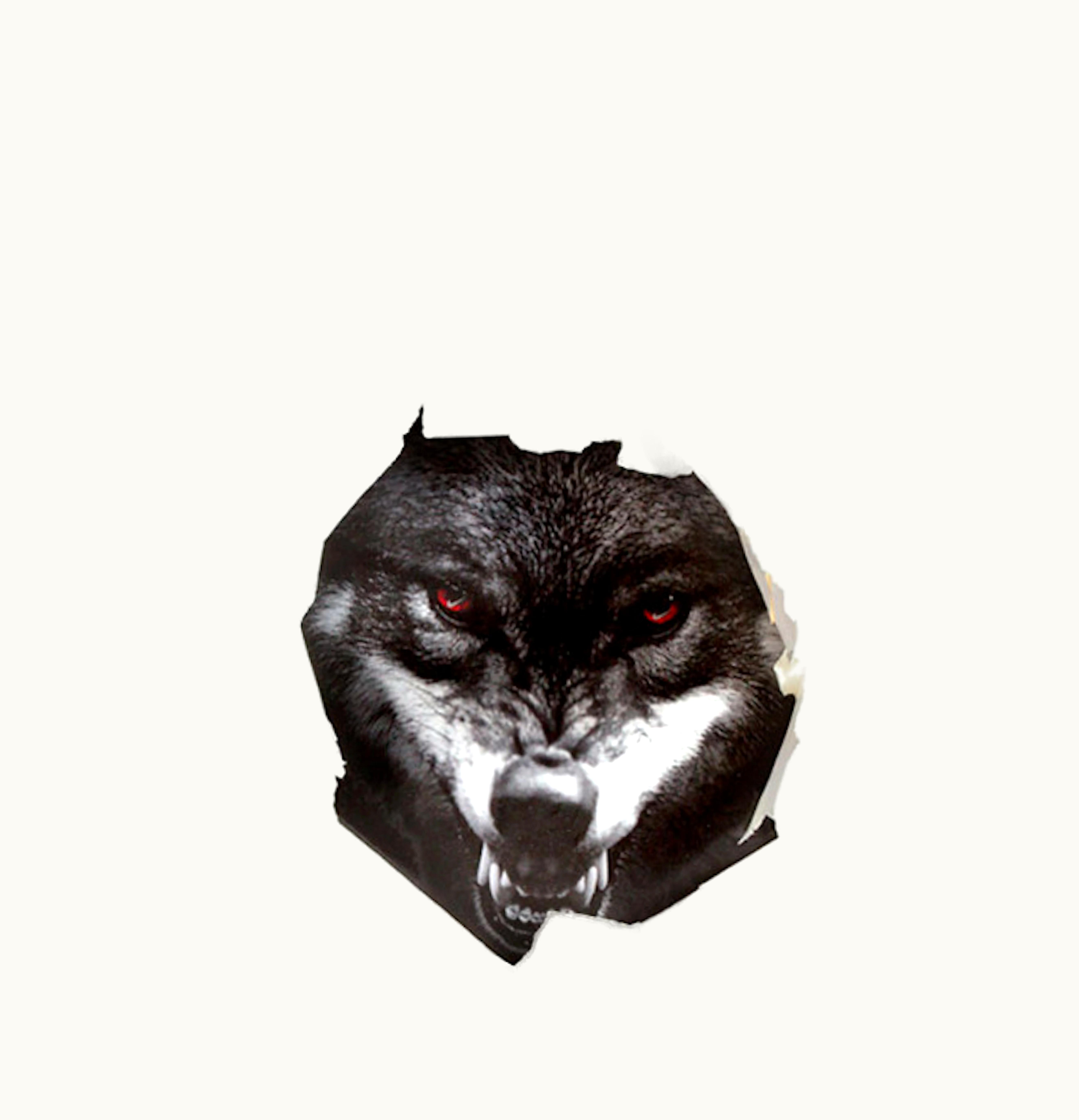 Nike Nike Dunk SB High Black Sheep Wolf In Sheeps Clothing Special Box