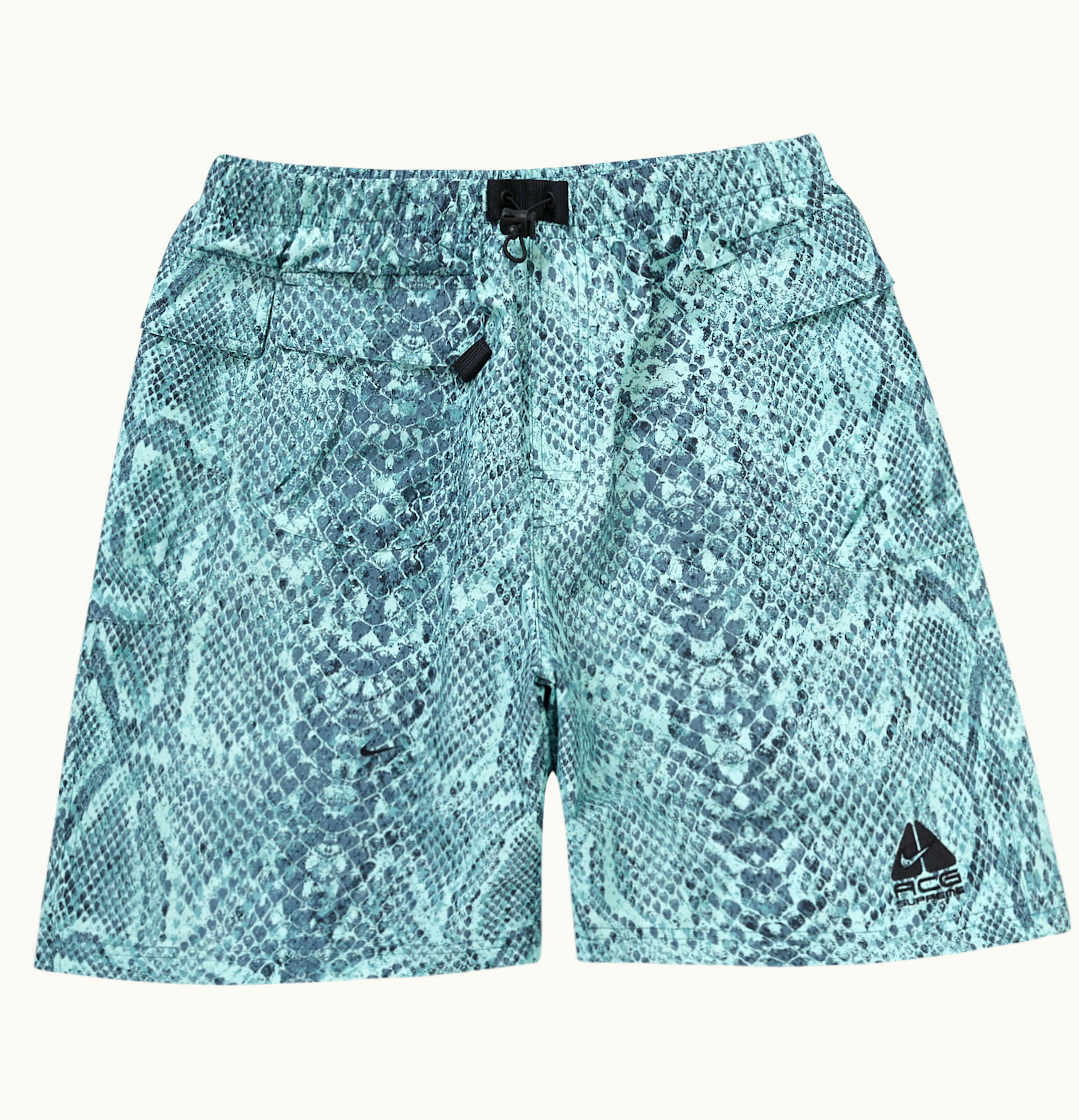 Supreme Supreme Nike ACG Nylon Trail Short Mint Snakeskin