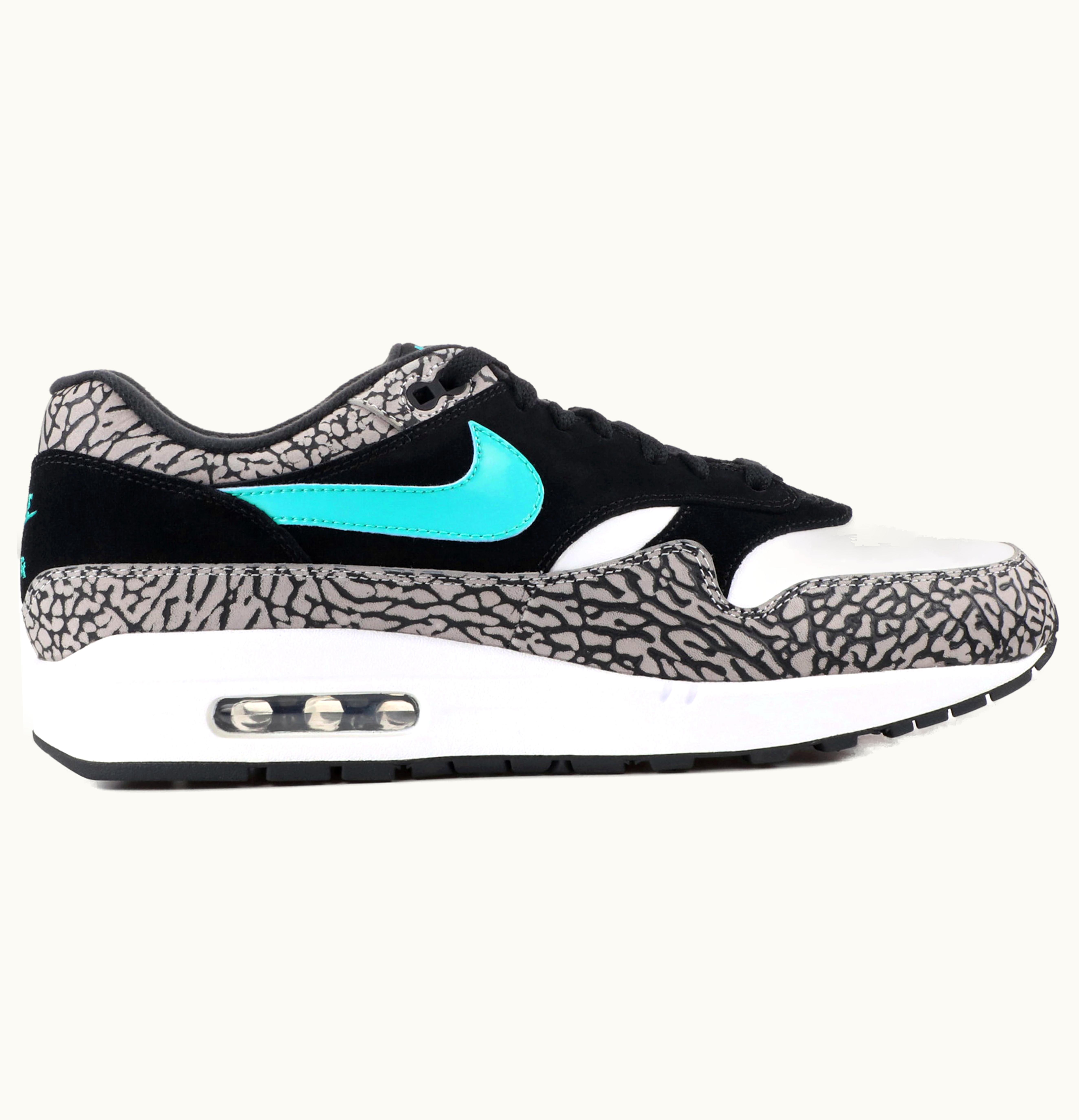 Nike Nike Air Max 1 Atmos x Air Jordan