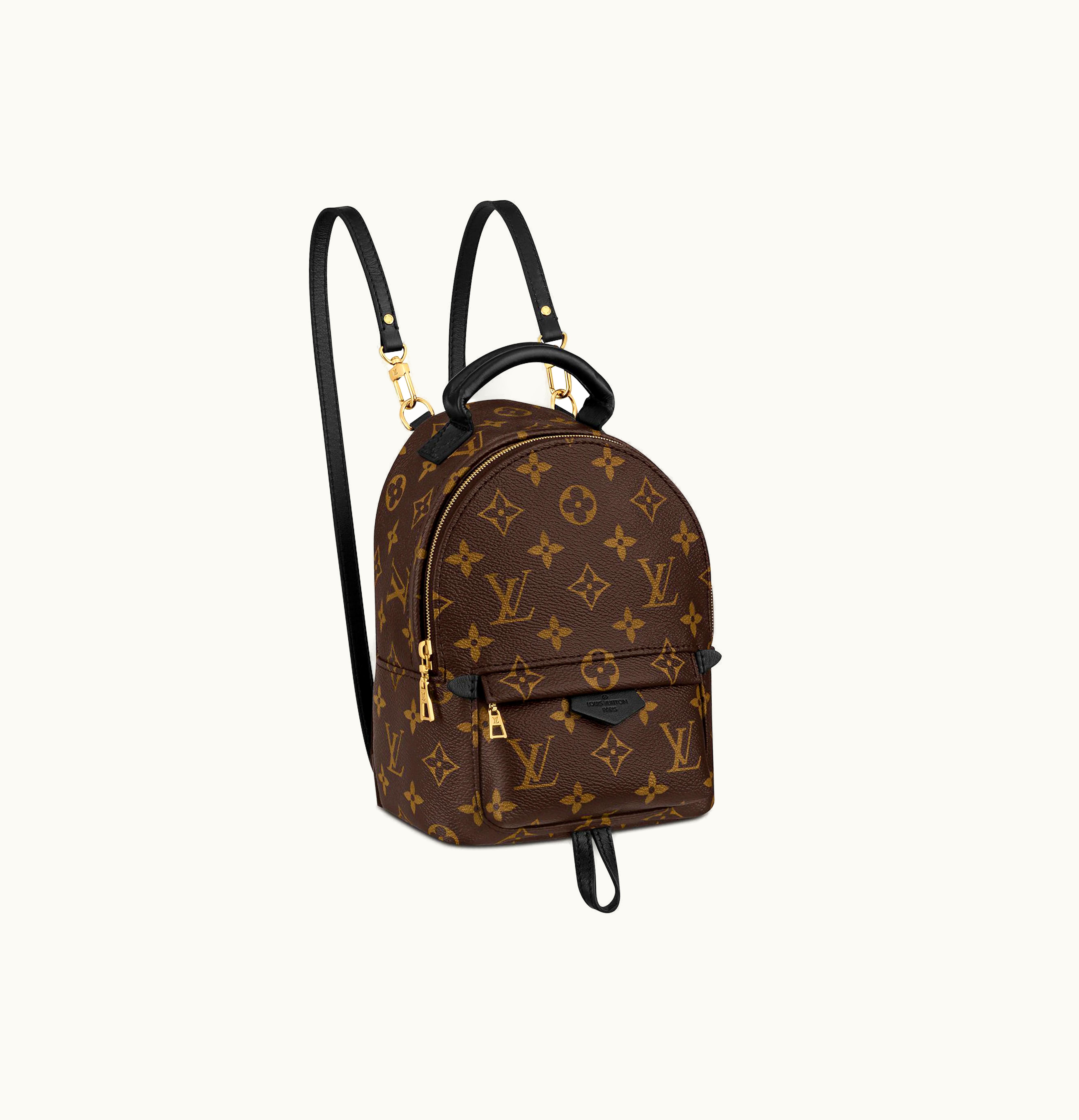 Louis Vuitton Louis Vuitton Palm Springs Monogram Updated Zipper Mini Brown
