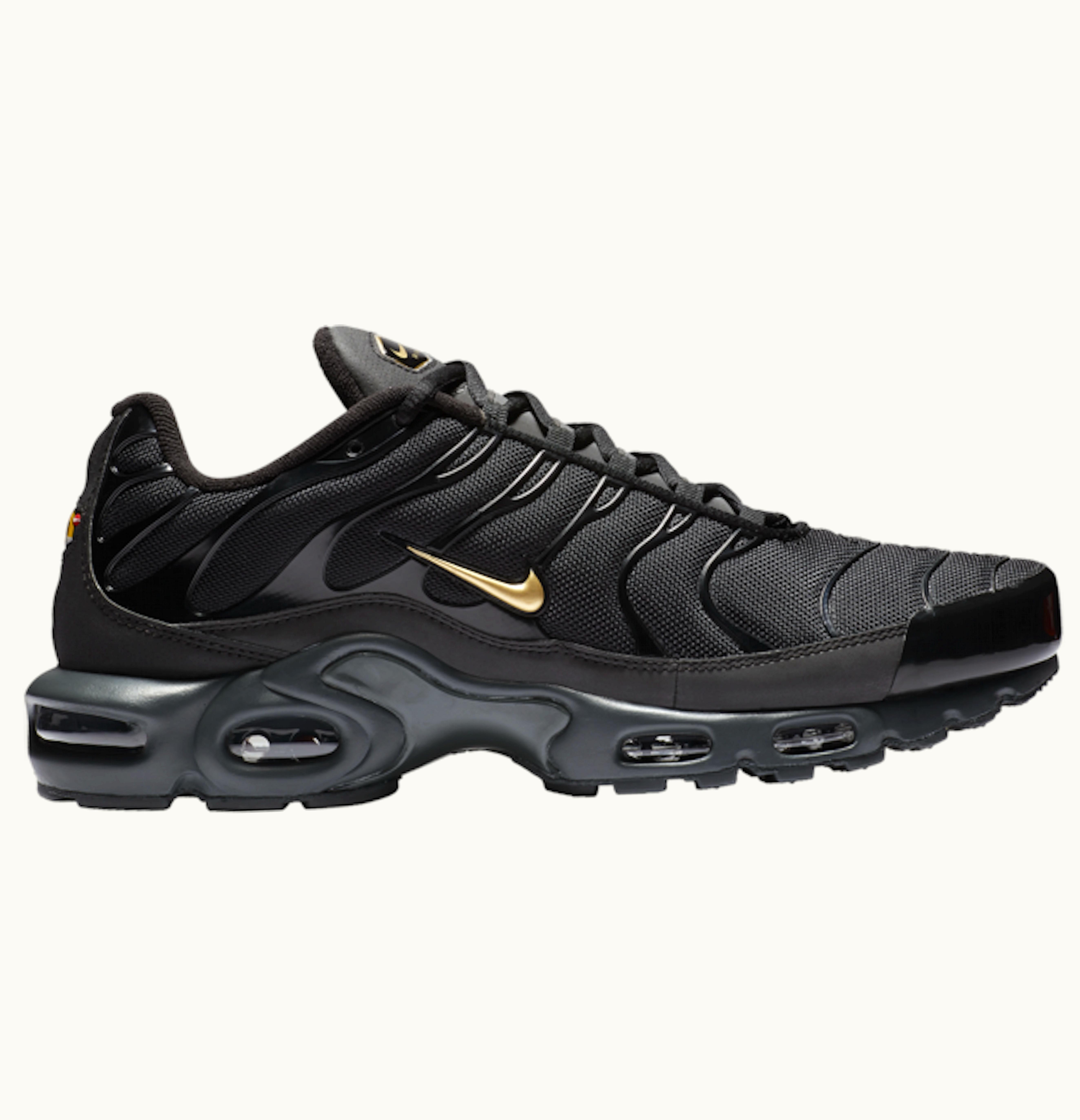 Nike Nike Air Max Plus Black Gold