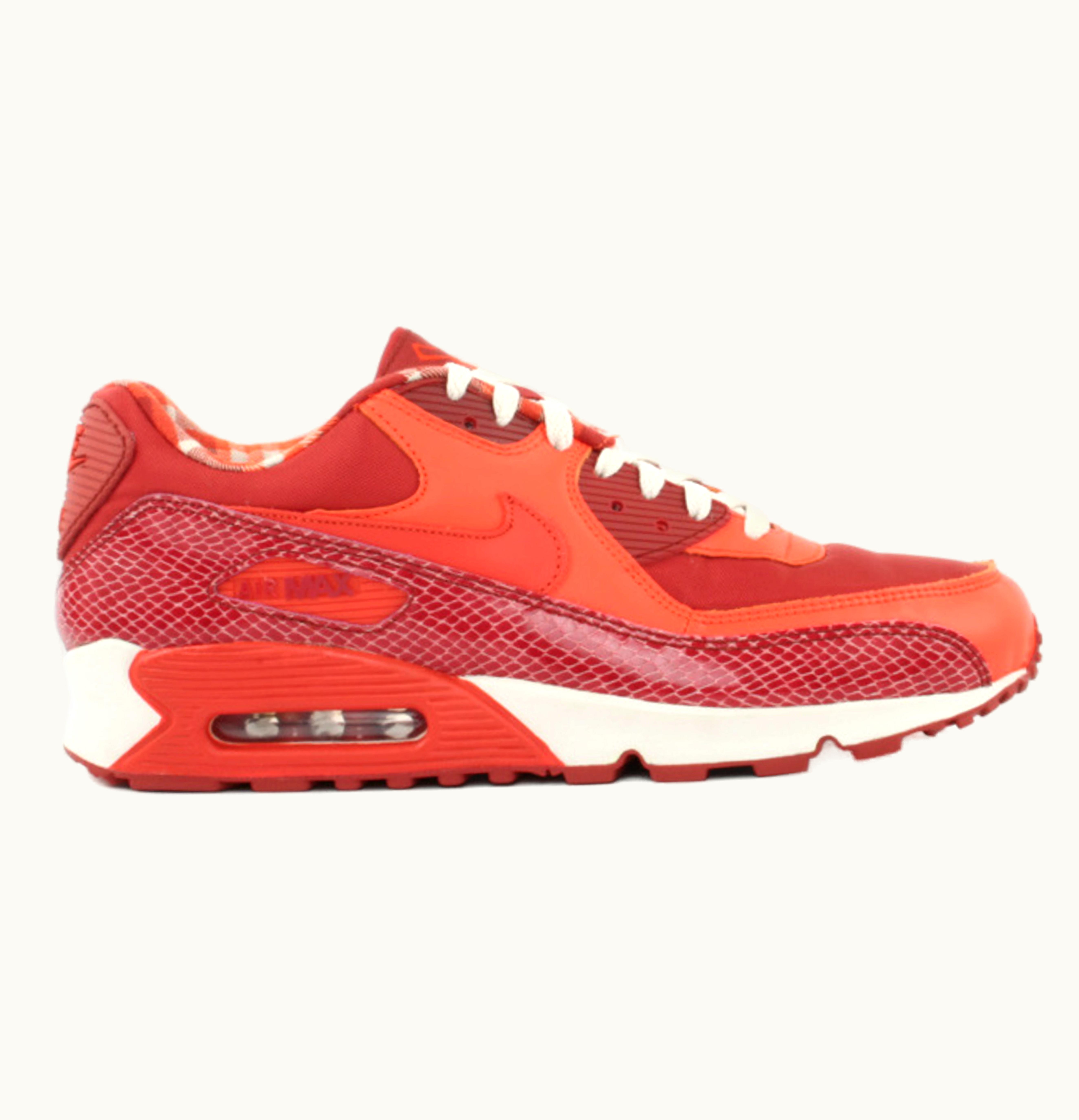 Nike Air Max 90 Steve Nash