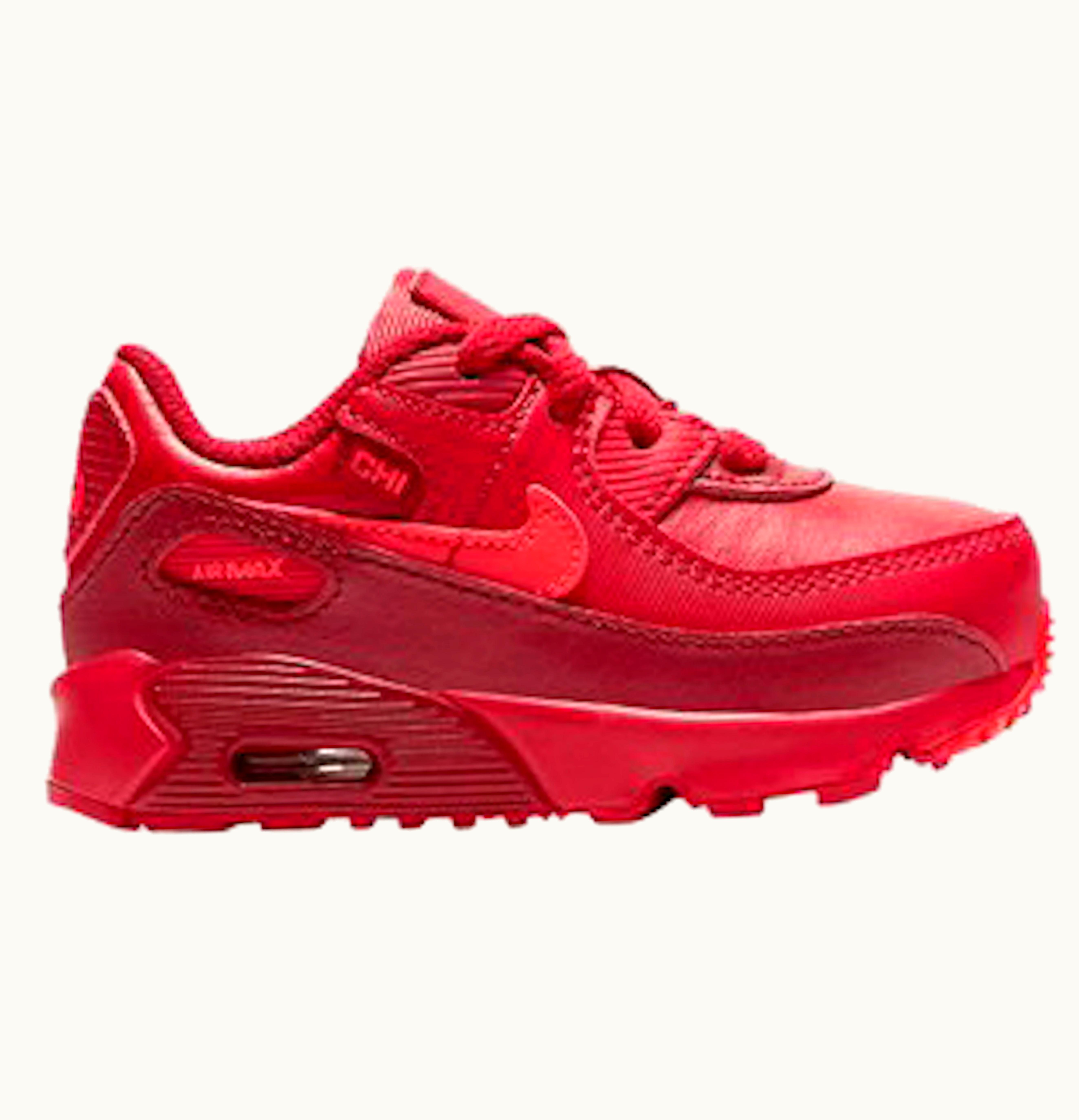 Nike Air Max 90 City Special Chicago TD