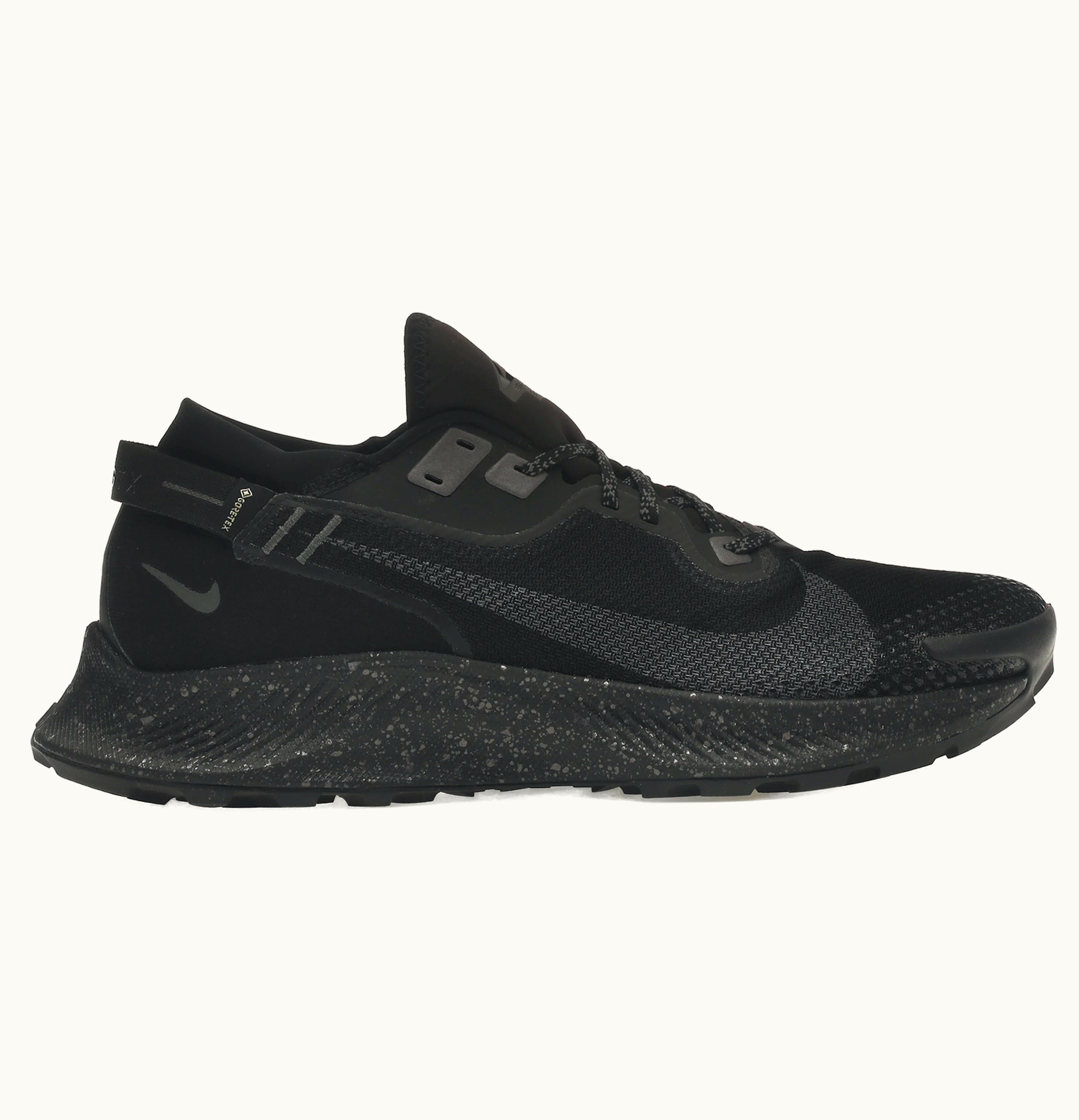 Nike Nike Pegasus Trail 2 Gore Tex Black