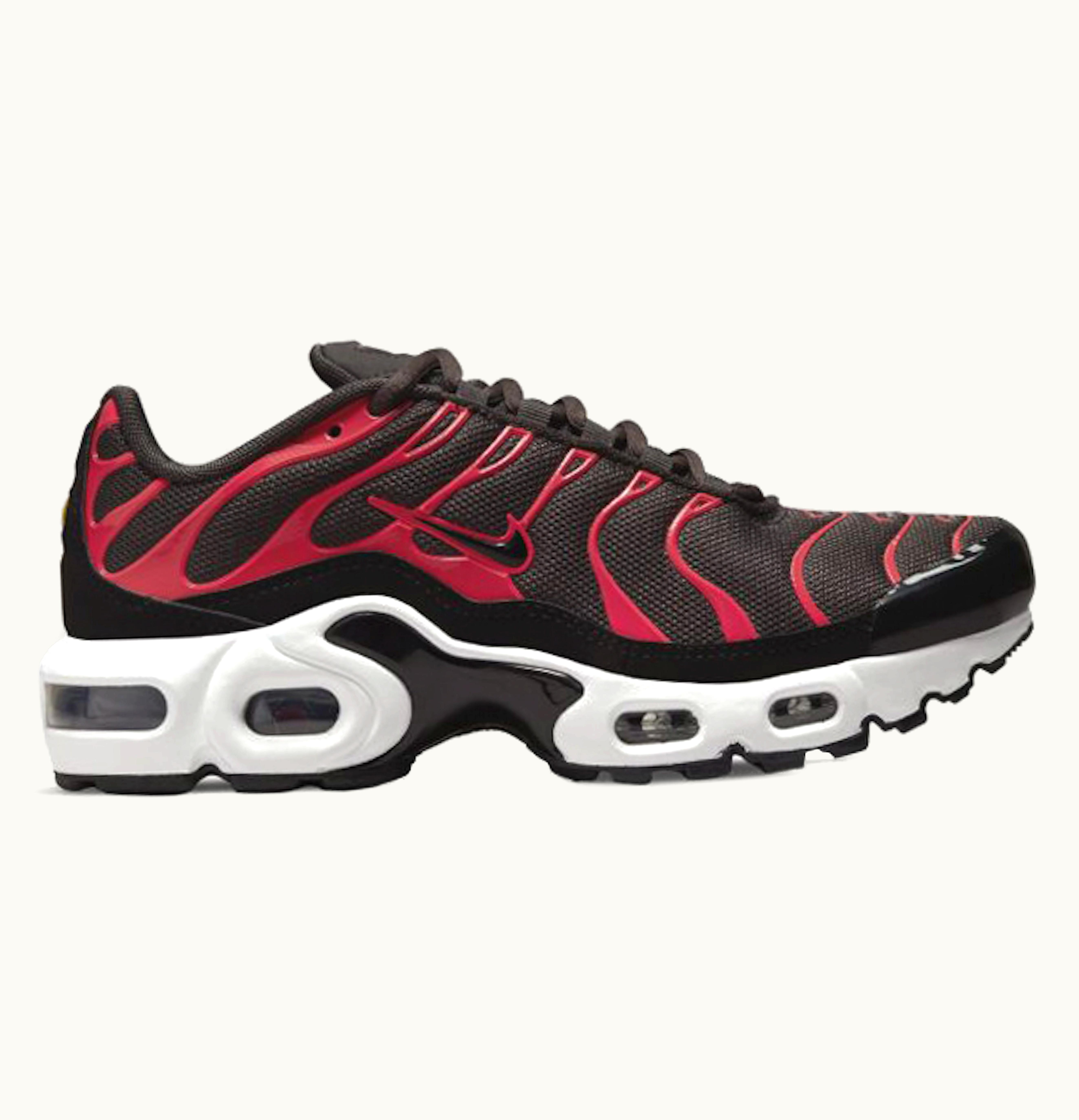 Nike Nike Air Max Plus Bred 2021 GS