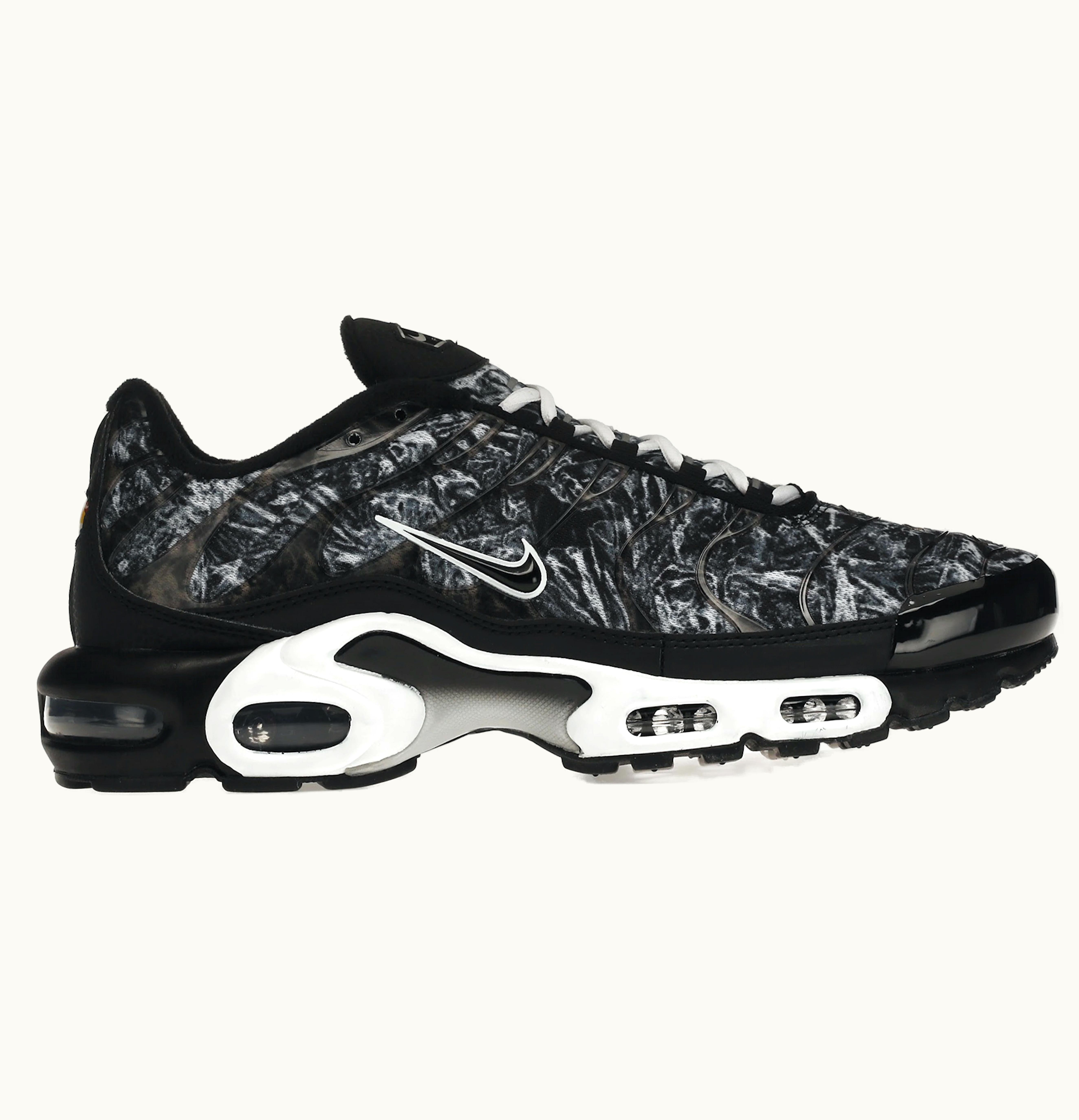 Nike Nike Air Max Plus Dark Smoke Grey