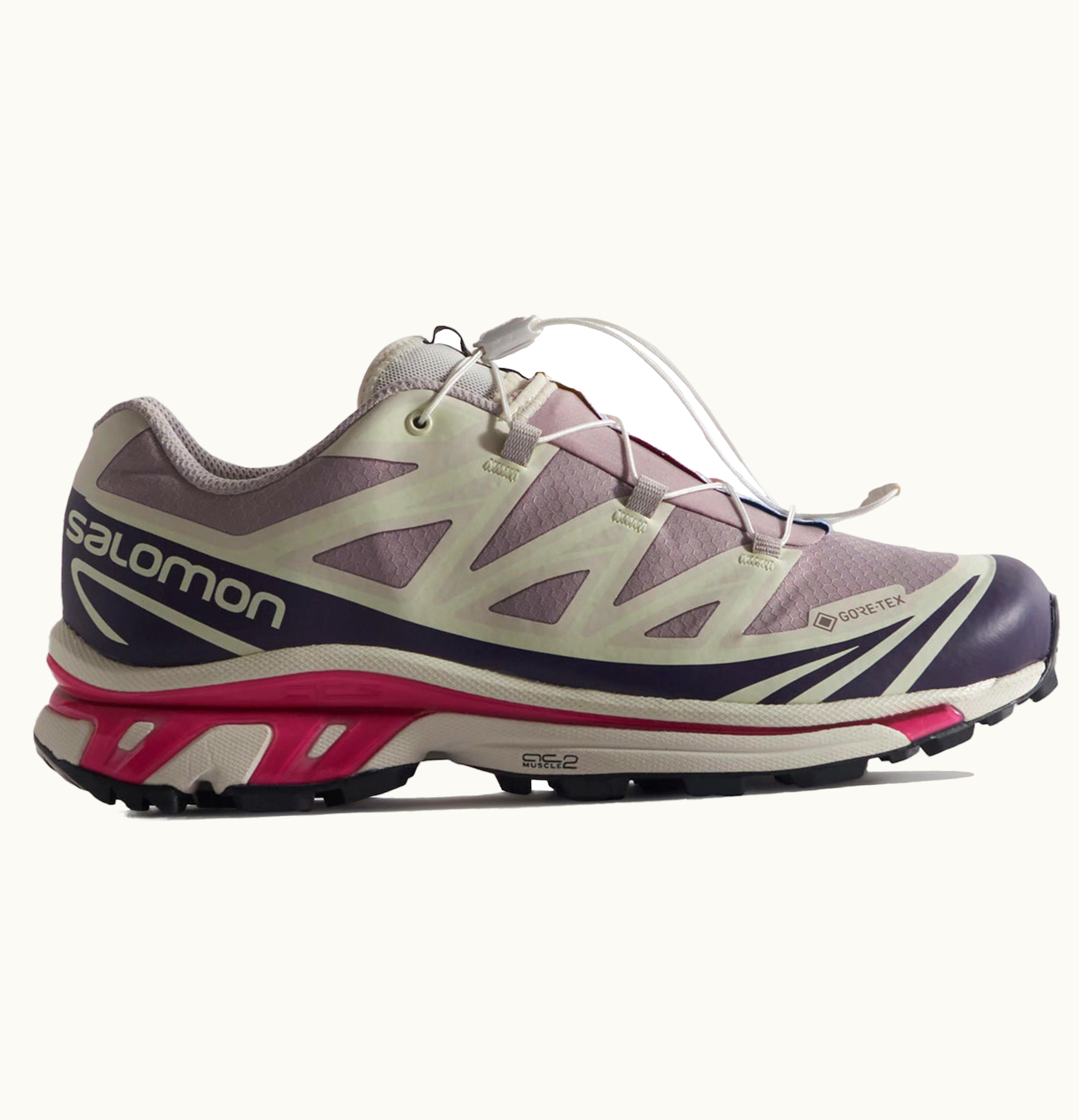 Salomon XT 6 Gore Tex Kith Moonscape