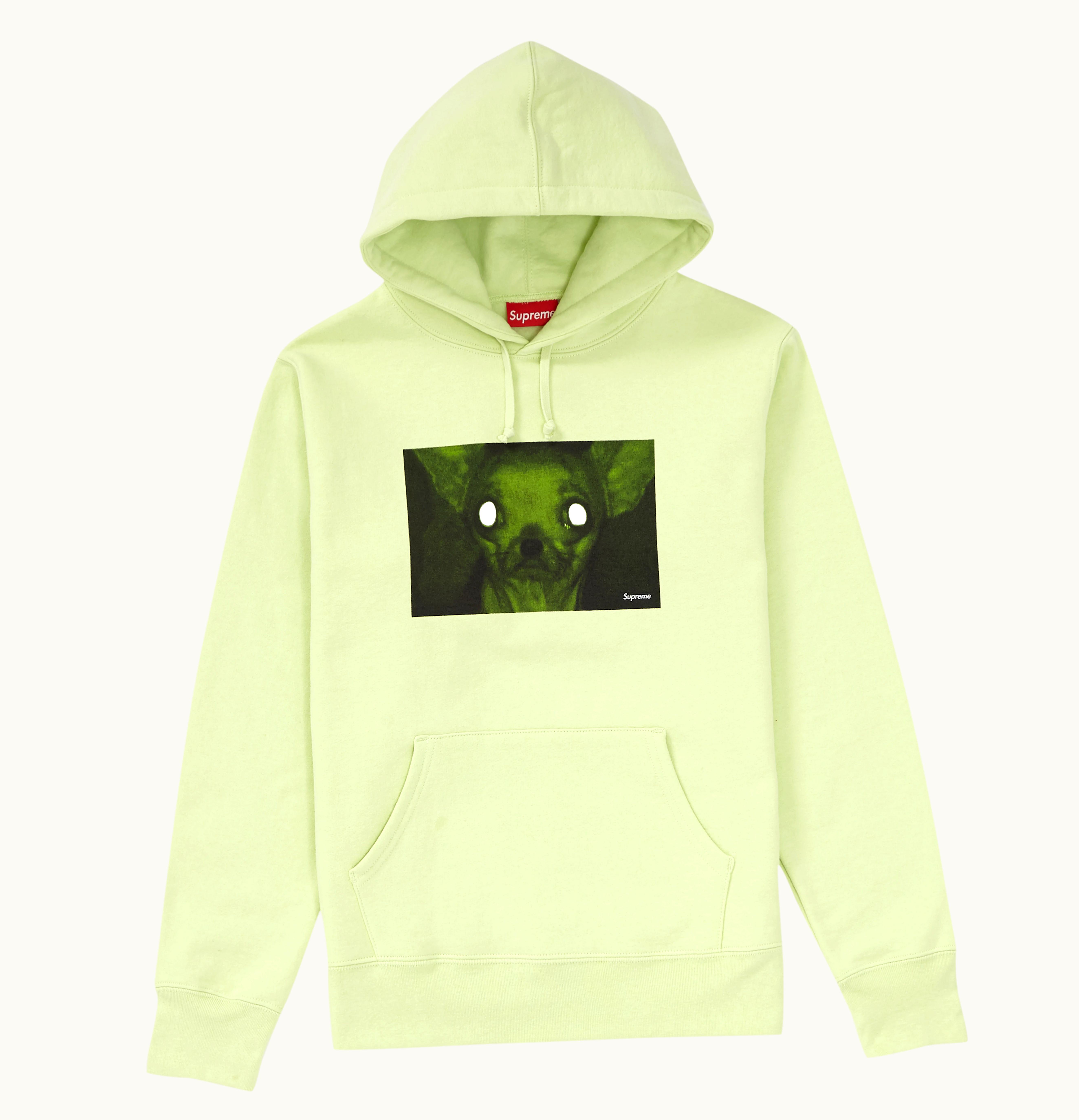 Supreme Supreme Chris Cunningham Chihuahua Hooded Sweatshirt Pale Mint