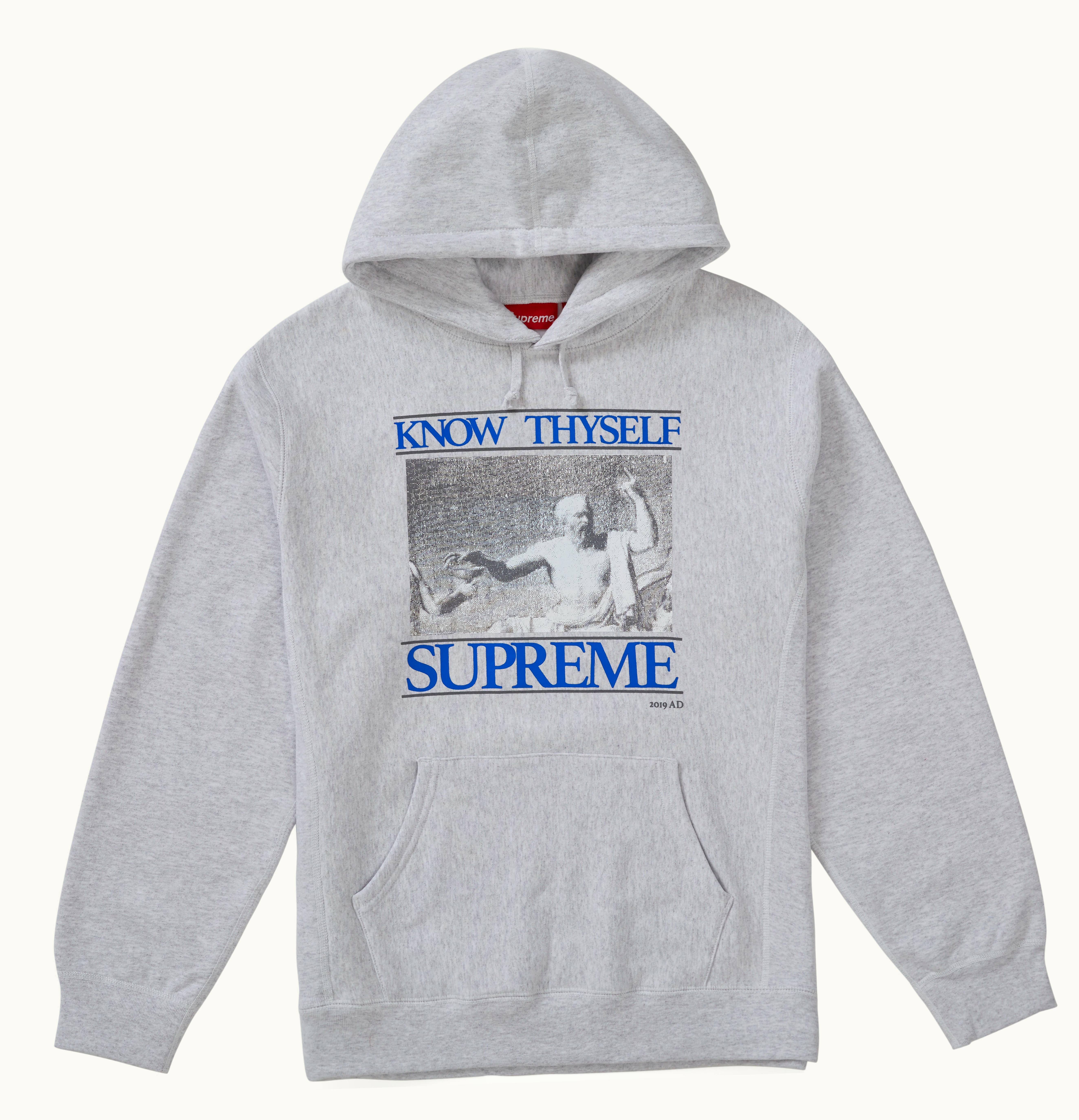 Supreme Supreme Know Thyself Hooded Sweatshirt Ash Grey