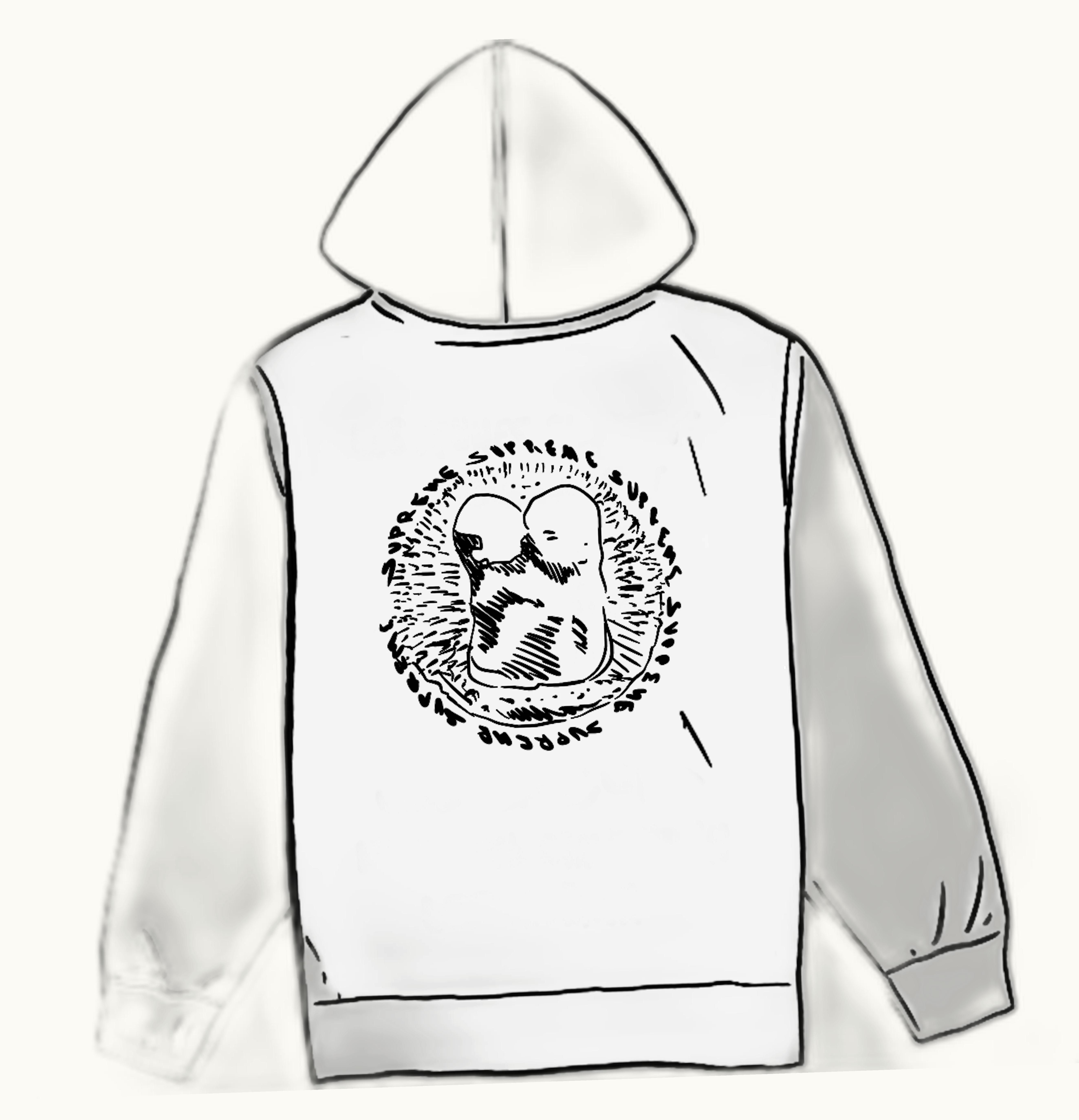 Supreme Supreme Embryo Hooded Sweatshirt Ash Grey