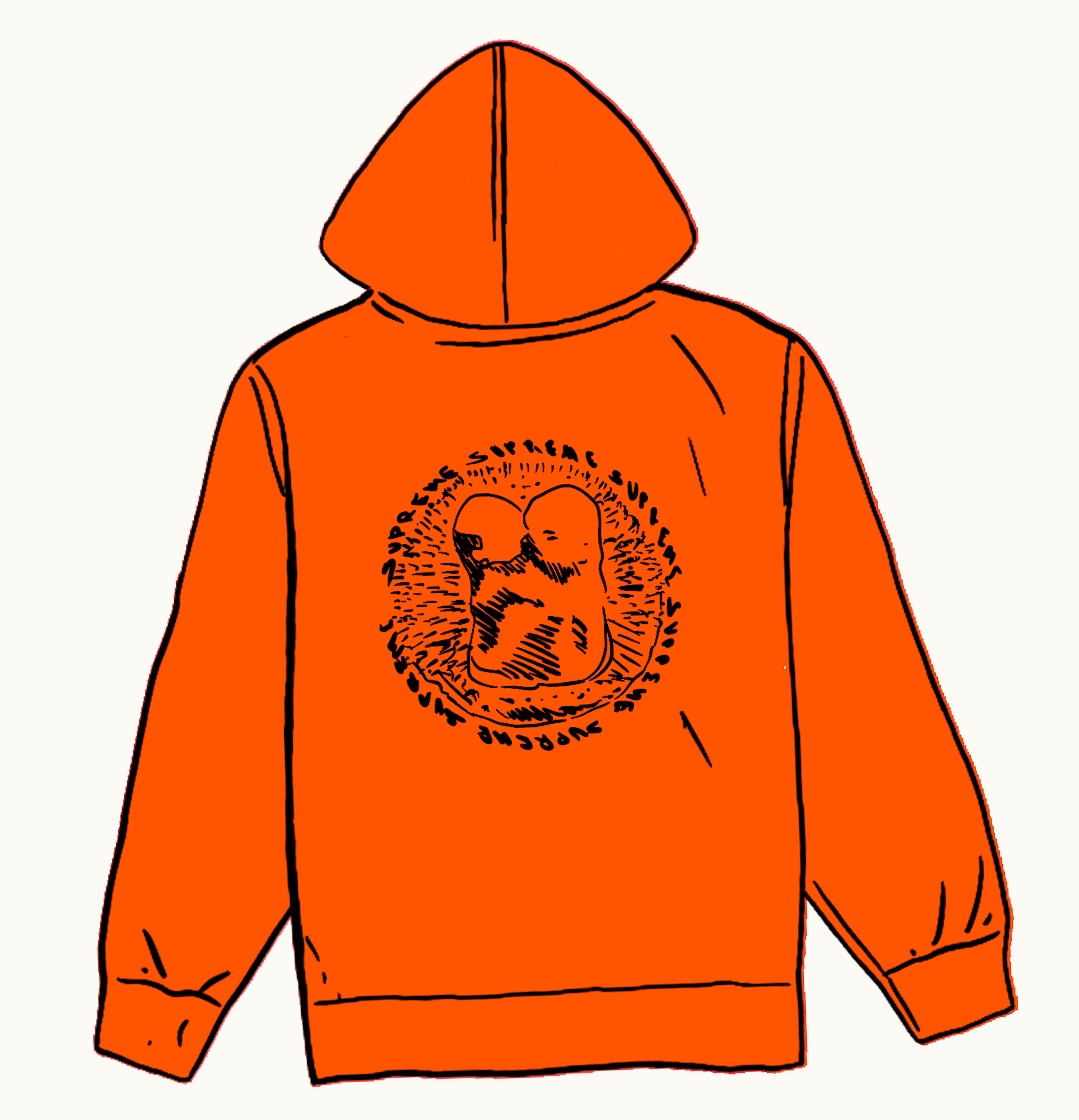 Supreme Supreme Embryo Hooded Sweatshirt Orange