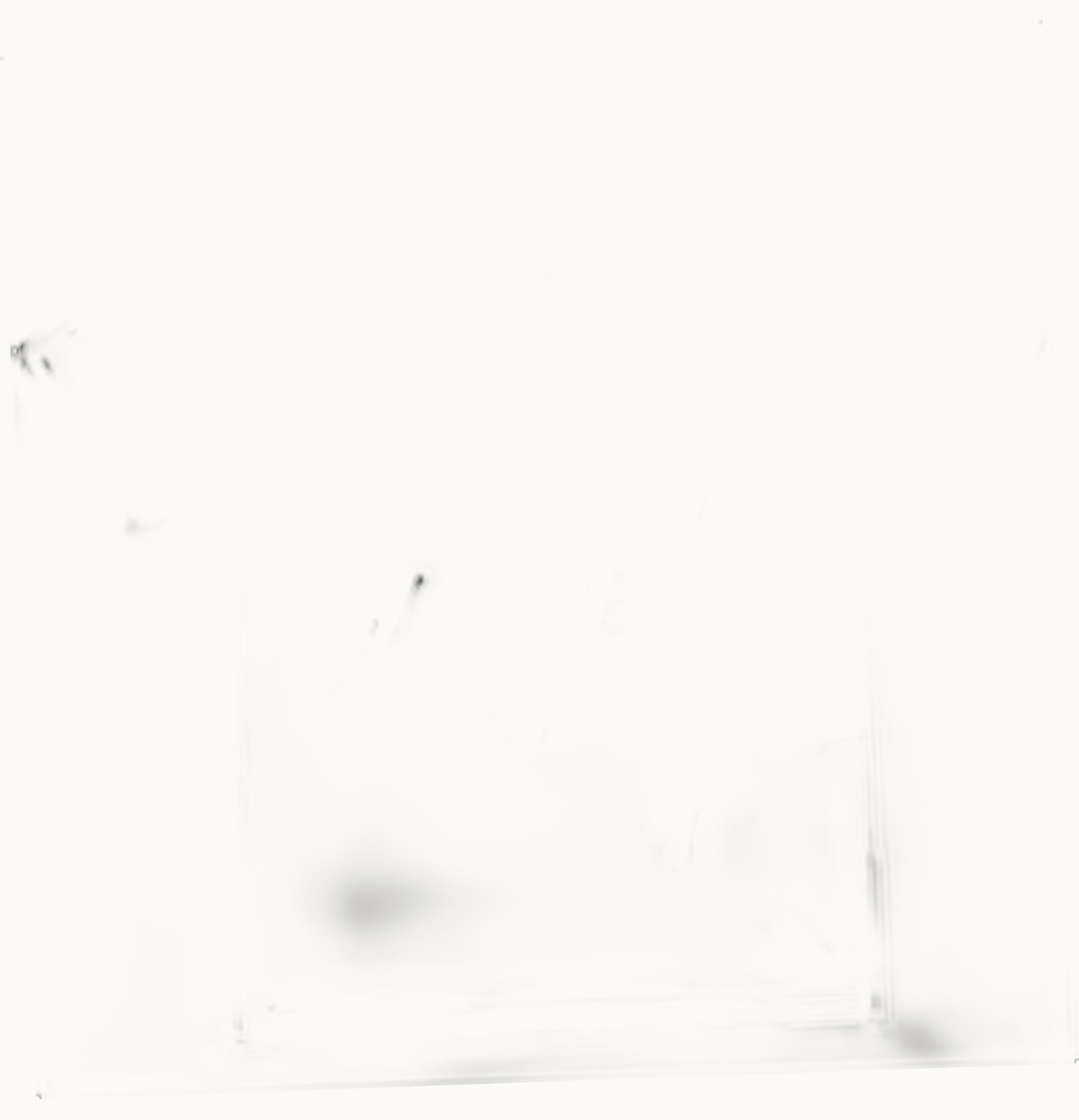 Supreme Supreme Side Logo S S Top White